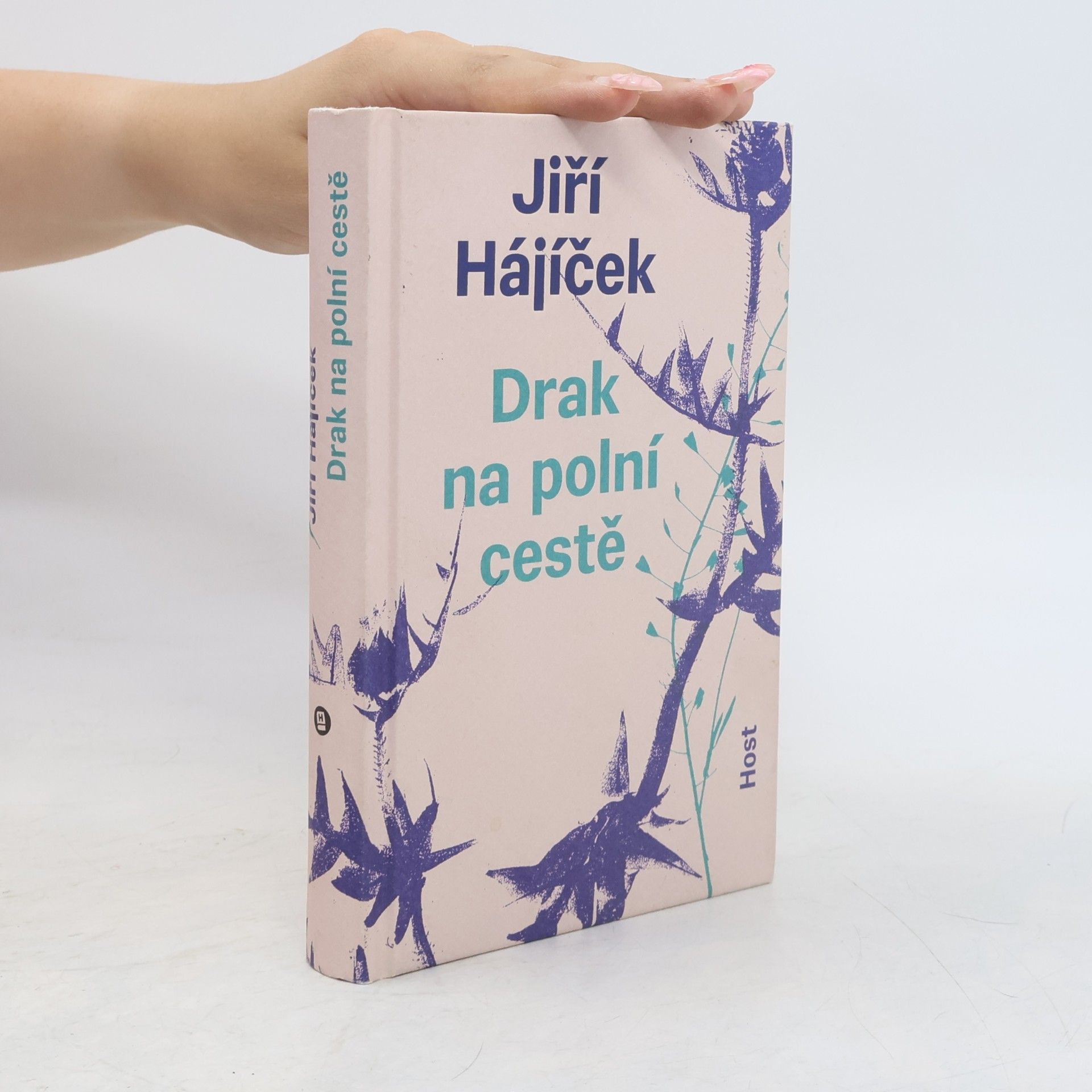 Jiří Hájíček Drak na polní cestě