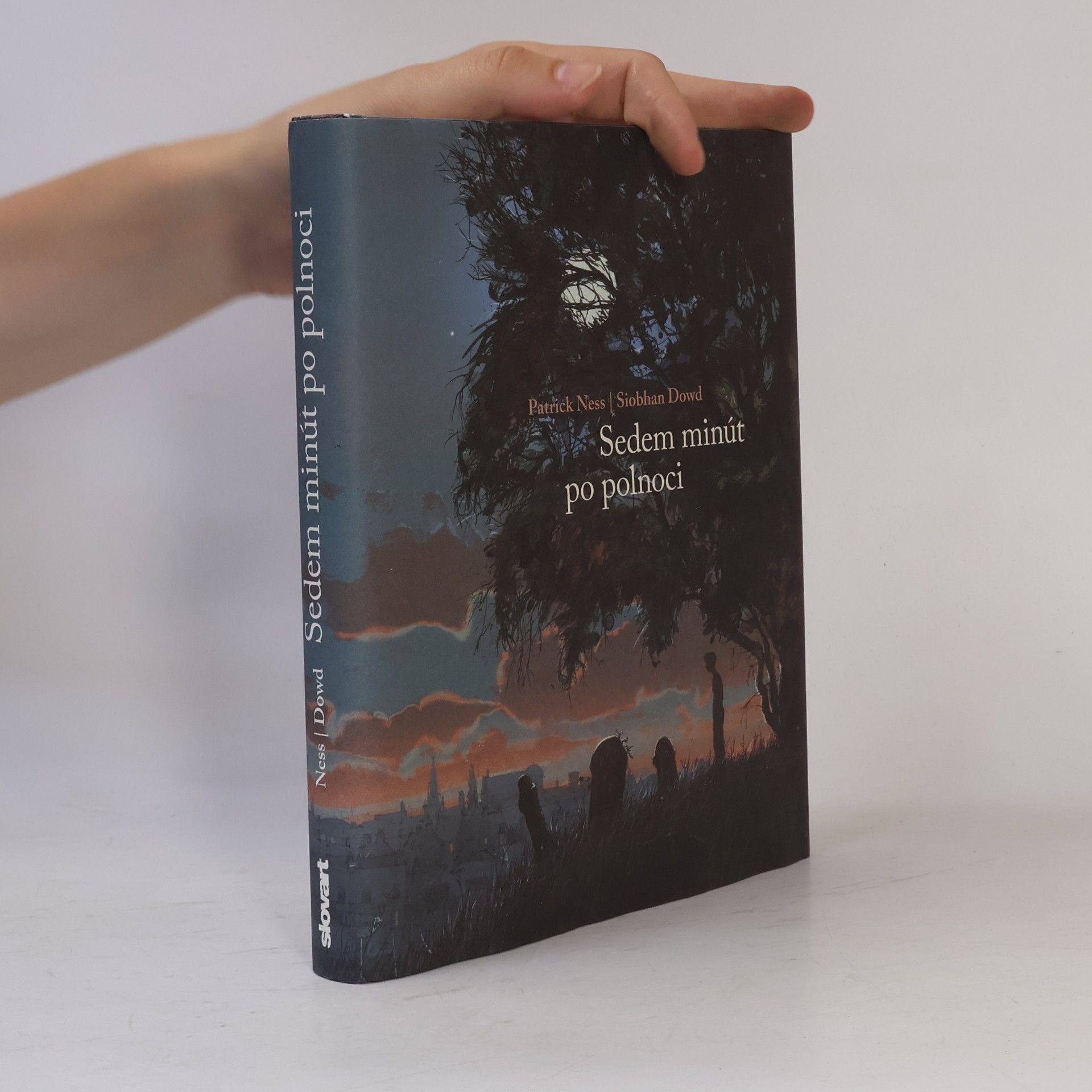 Patrick Ness Sedem minút po polnoci