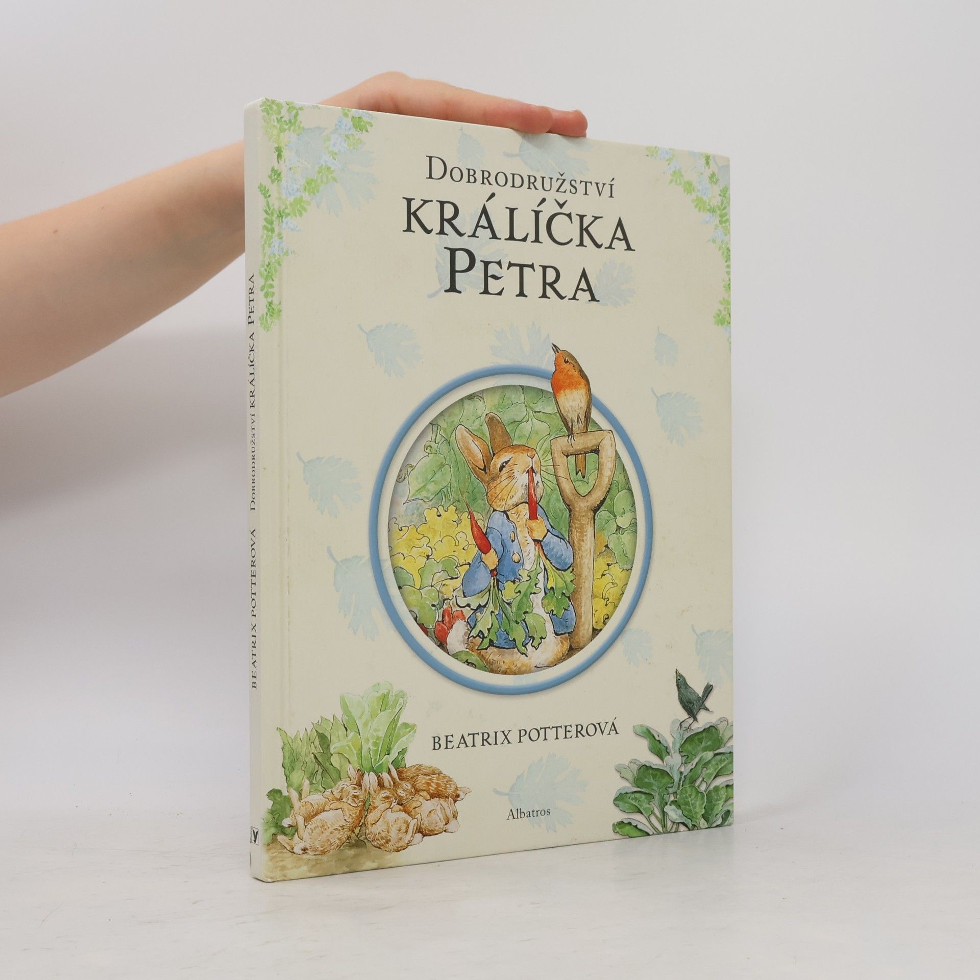 Beatrix Potter Dobrodružství králíčka Petra