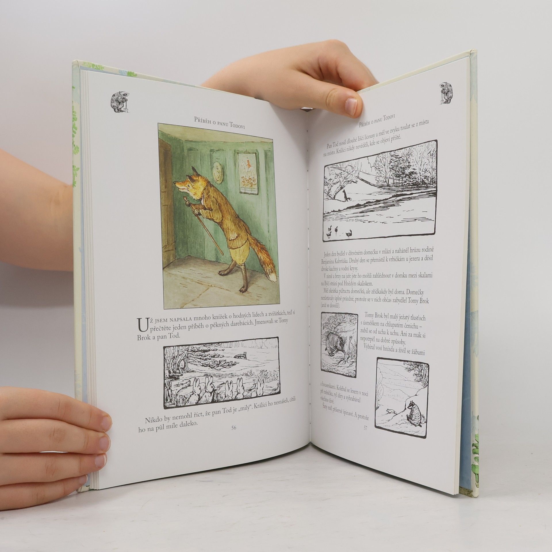 Beatrix Potter Dobrodružství králíčka Petra