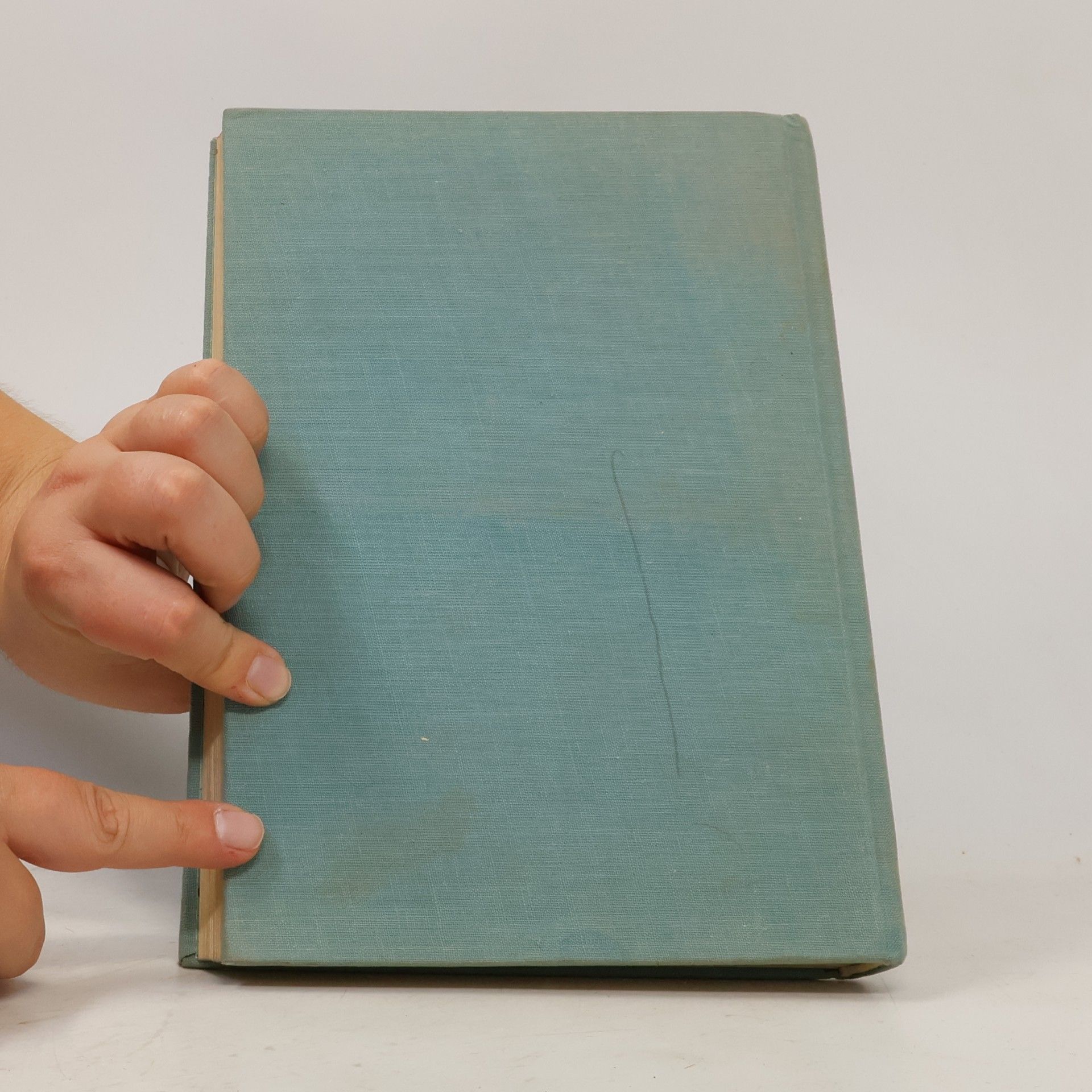 Mark Twain Dobrodružství Toma Sawyera