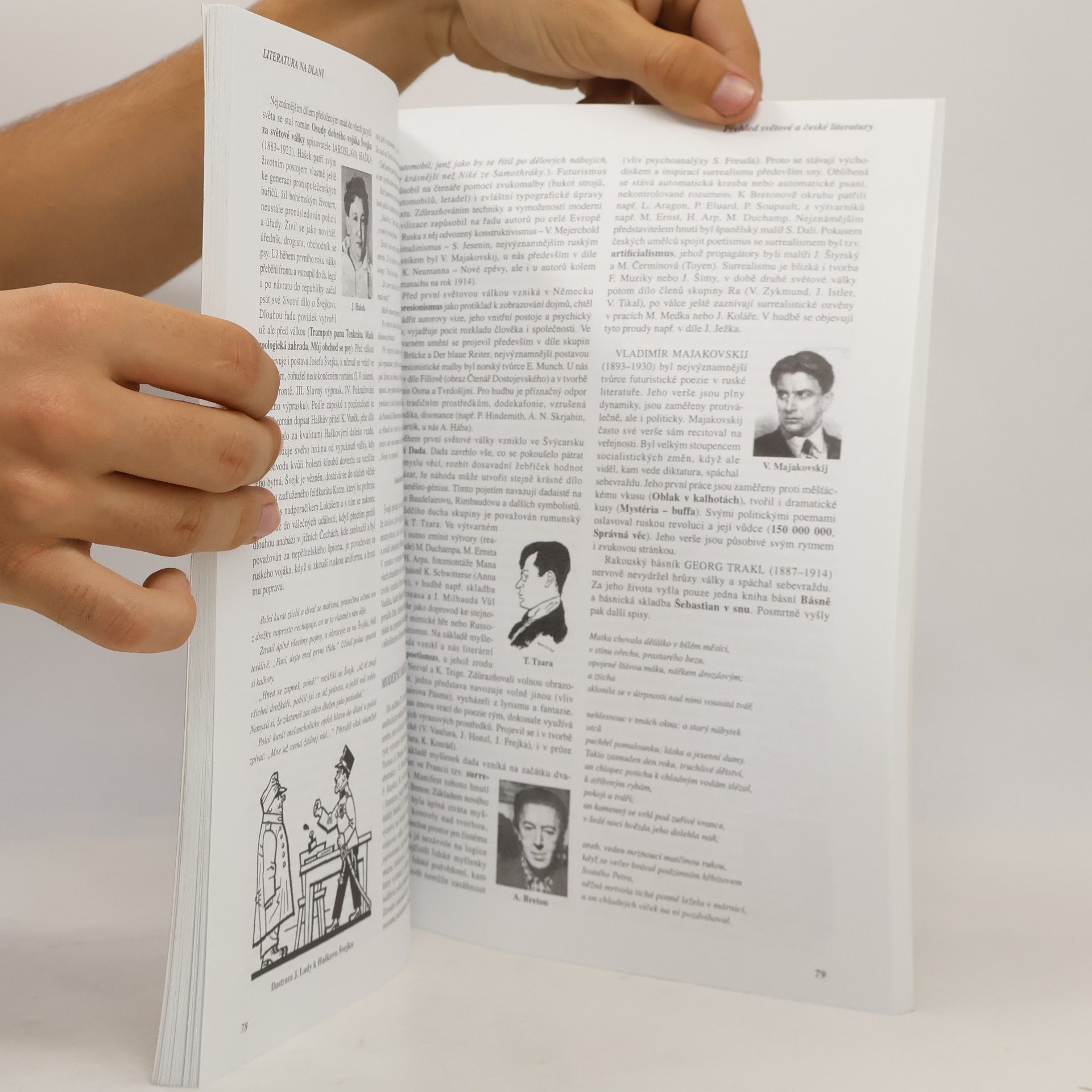 Alois Bauer Literatura na dlani : přehled světové a české literatury s ukázkami textů