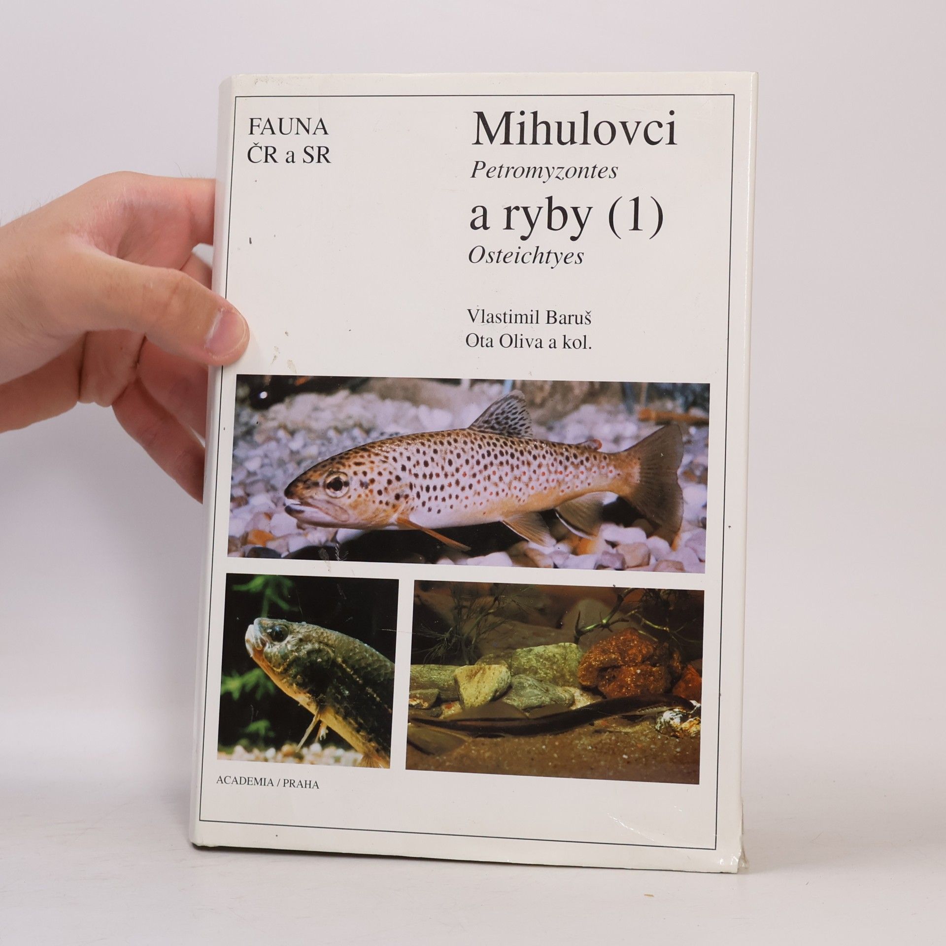 Kolektiv autorů Mihulovci a ryby. 1. díl