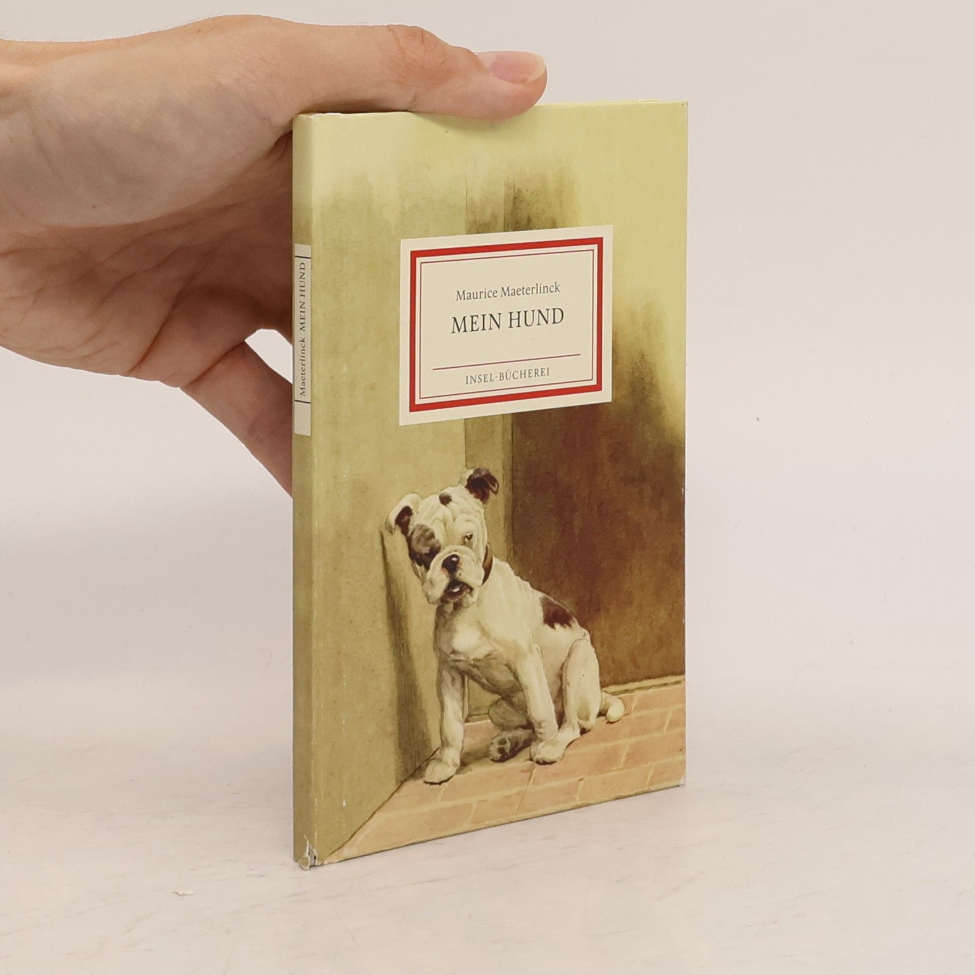 Cecile Aldin Mein Hund