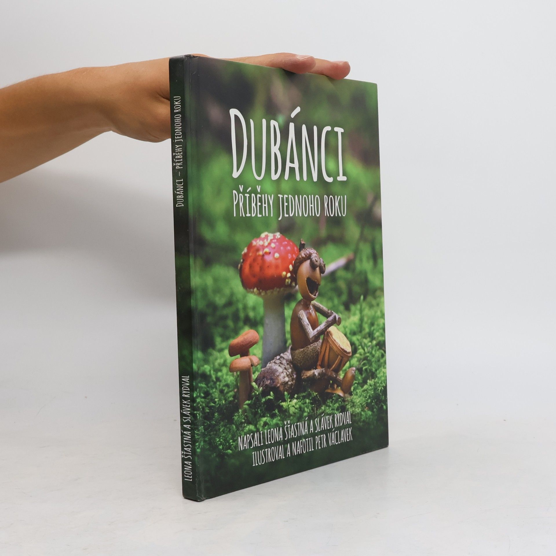 Slávek Rydval Dubánci: Příběhy jednoho roku