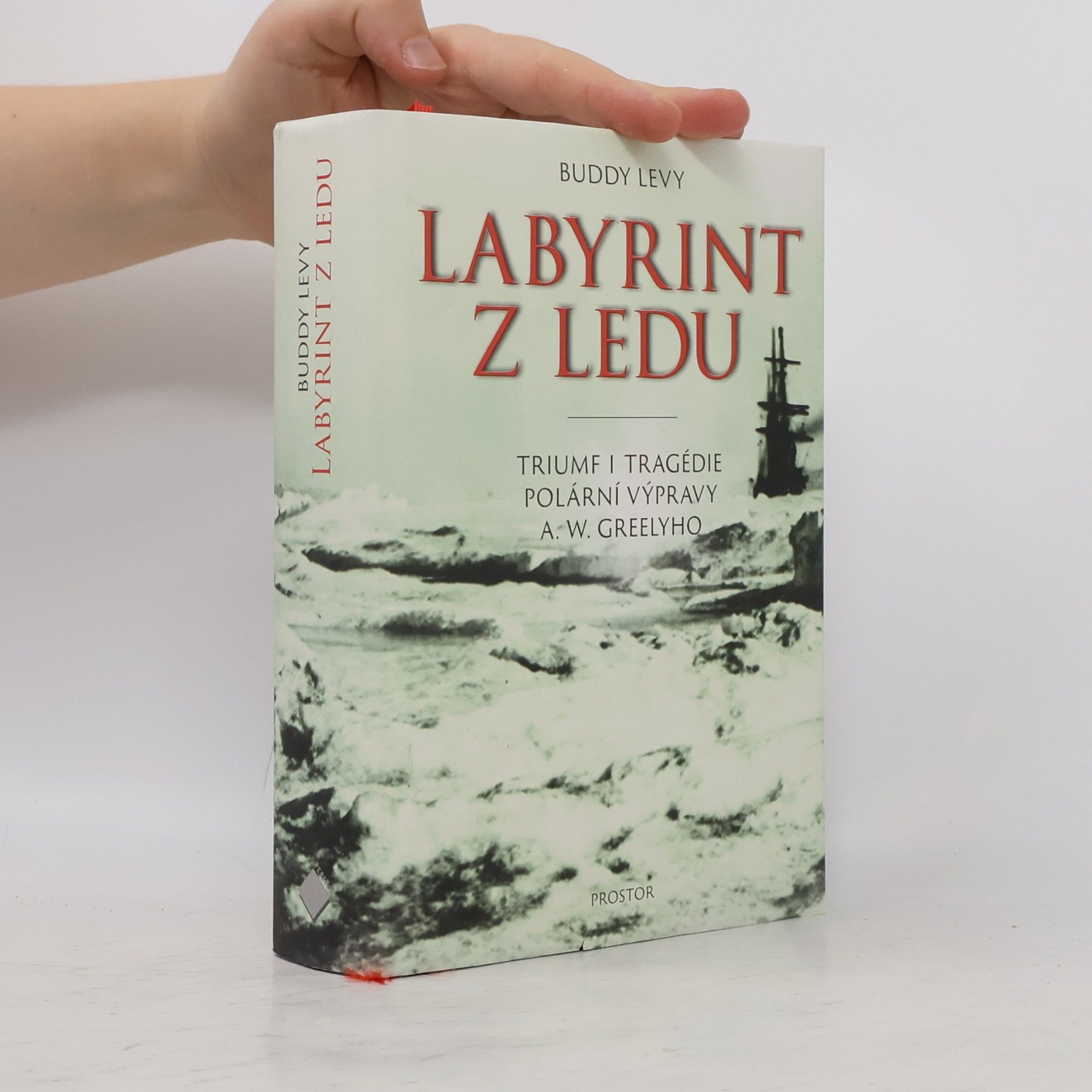 Buddy Levy Labyrint z ledu