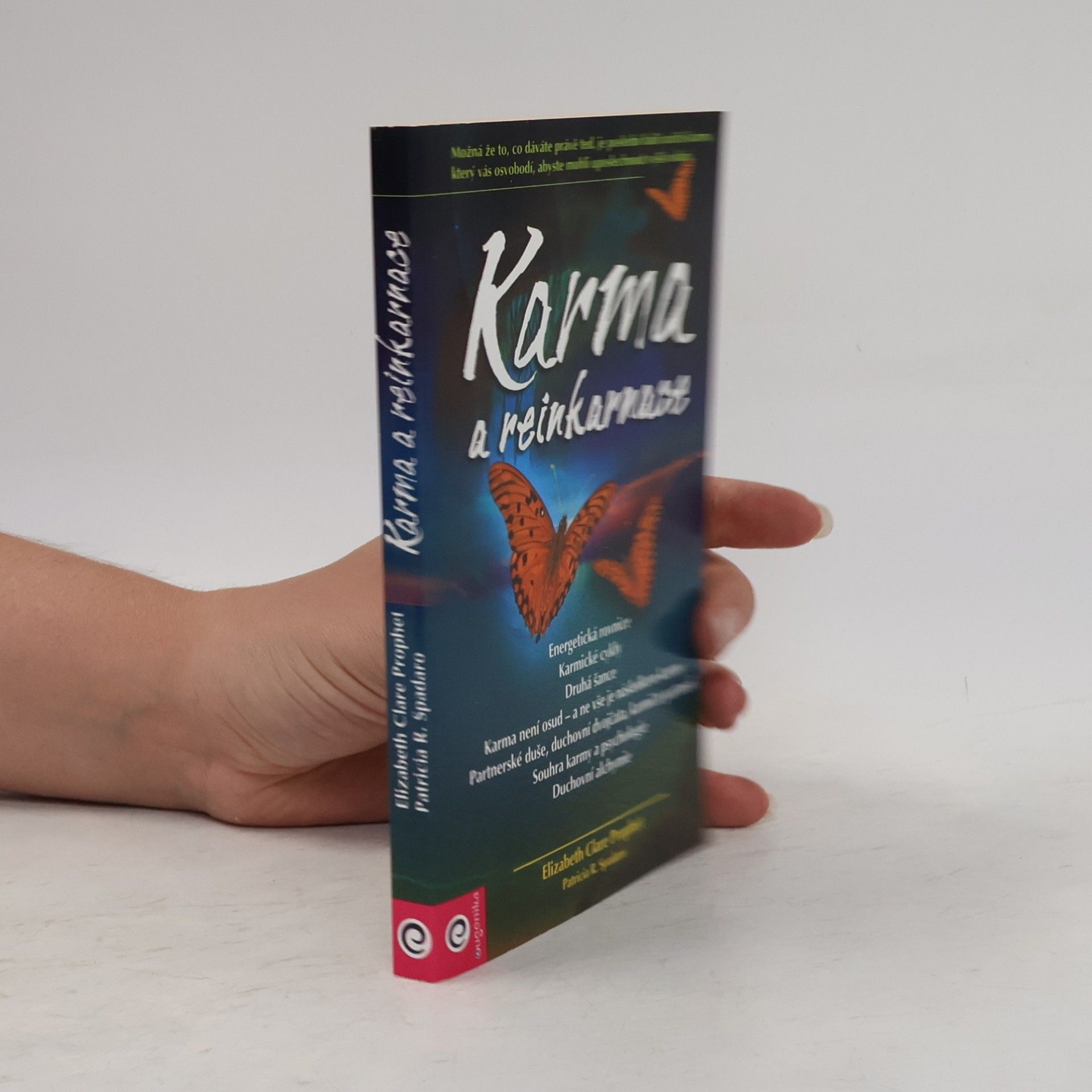 Karma a reinkarnace