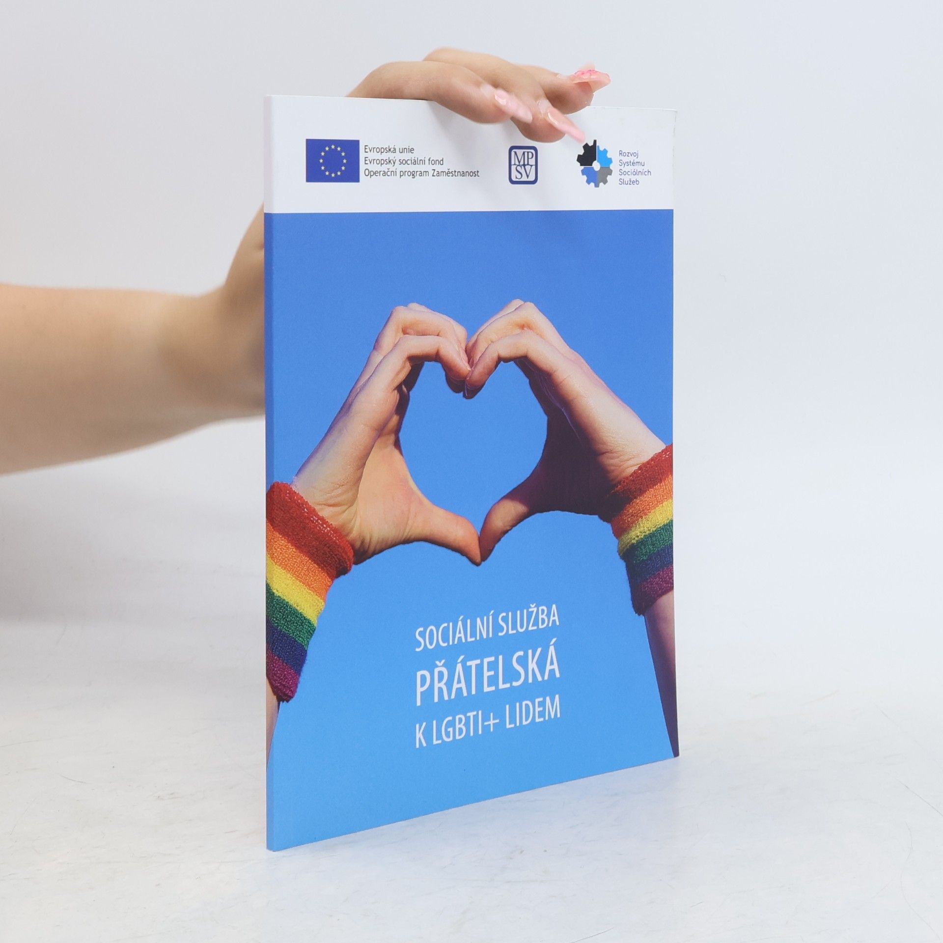 Kolektív autorov Sociální služba přátelská k LGBTI+ lidem