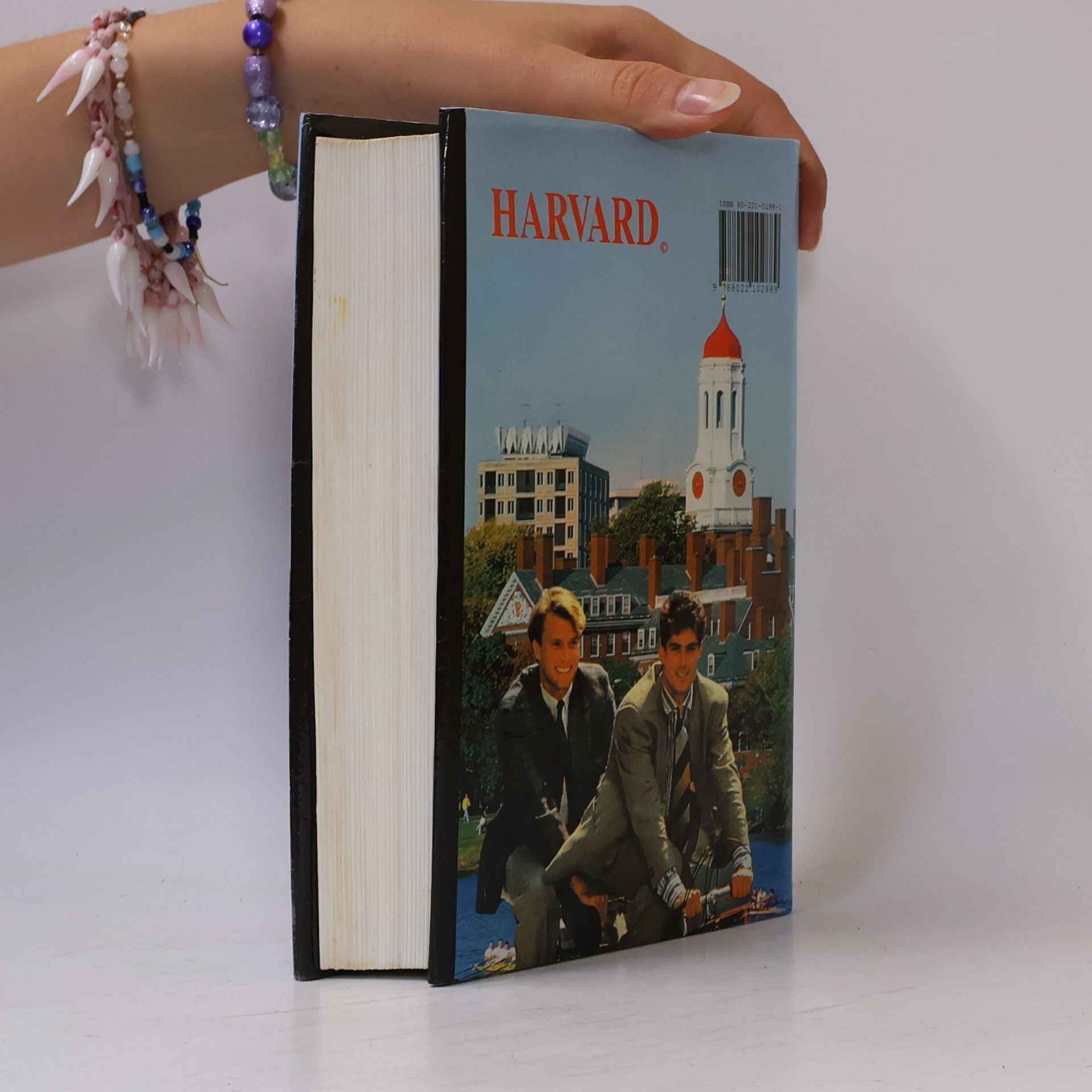 Erich Segal Chlapci z Harvardu