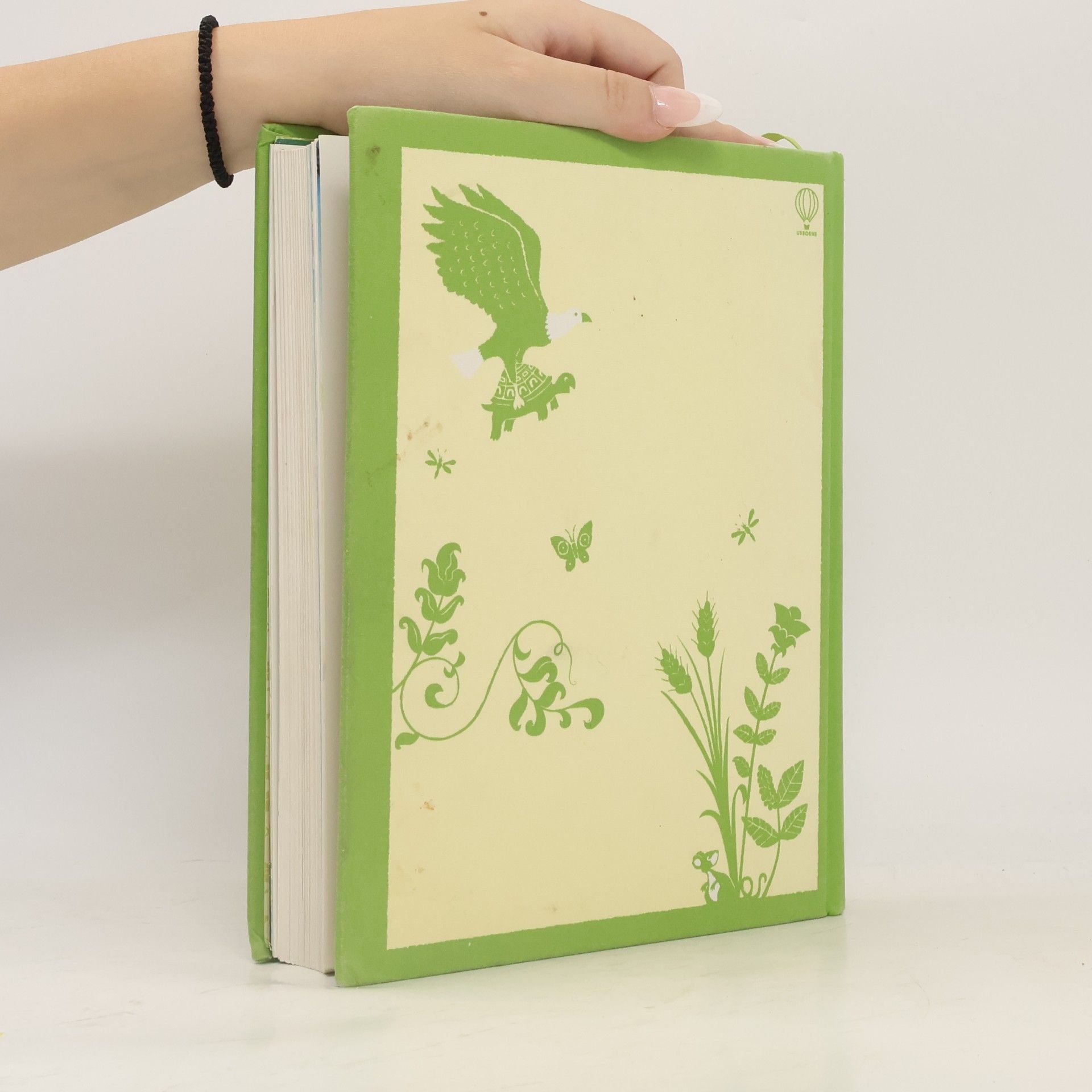 Zanna Davidson Usborne Illustrated Stories from Aesop