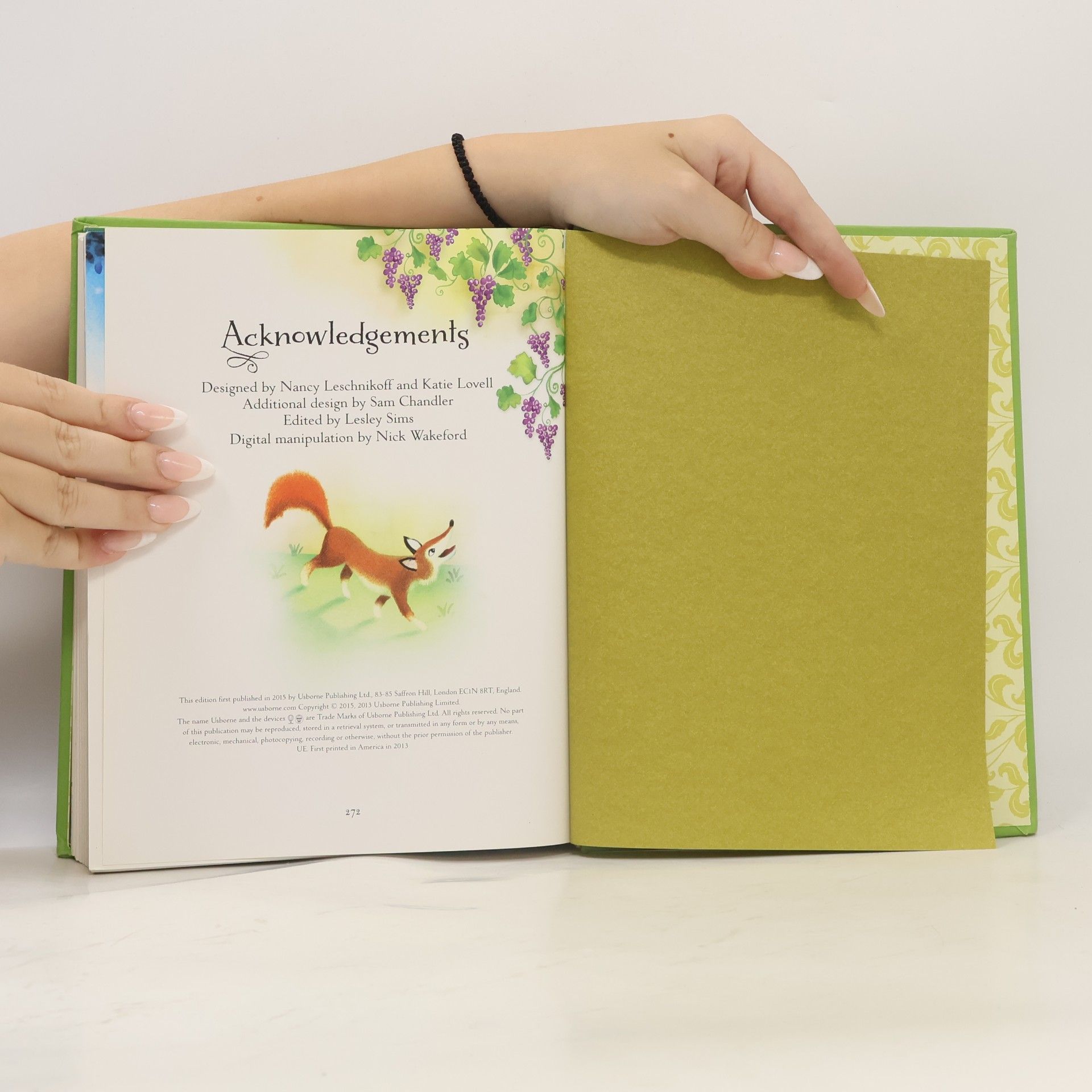 Zanna Davidson Usborne Illustrated Stories from Aesop