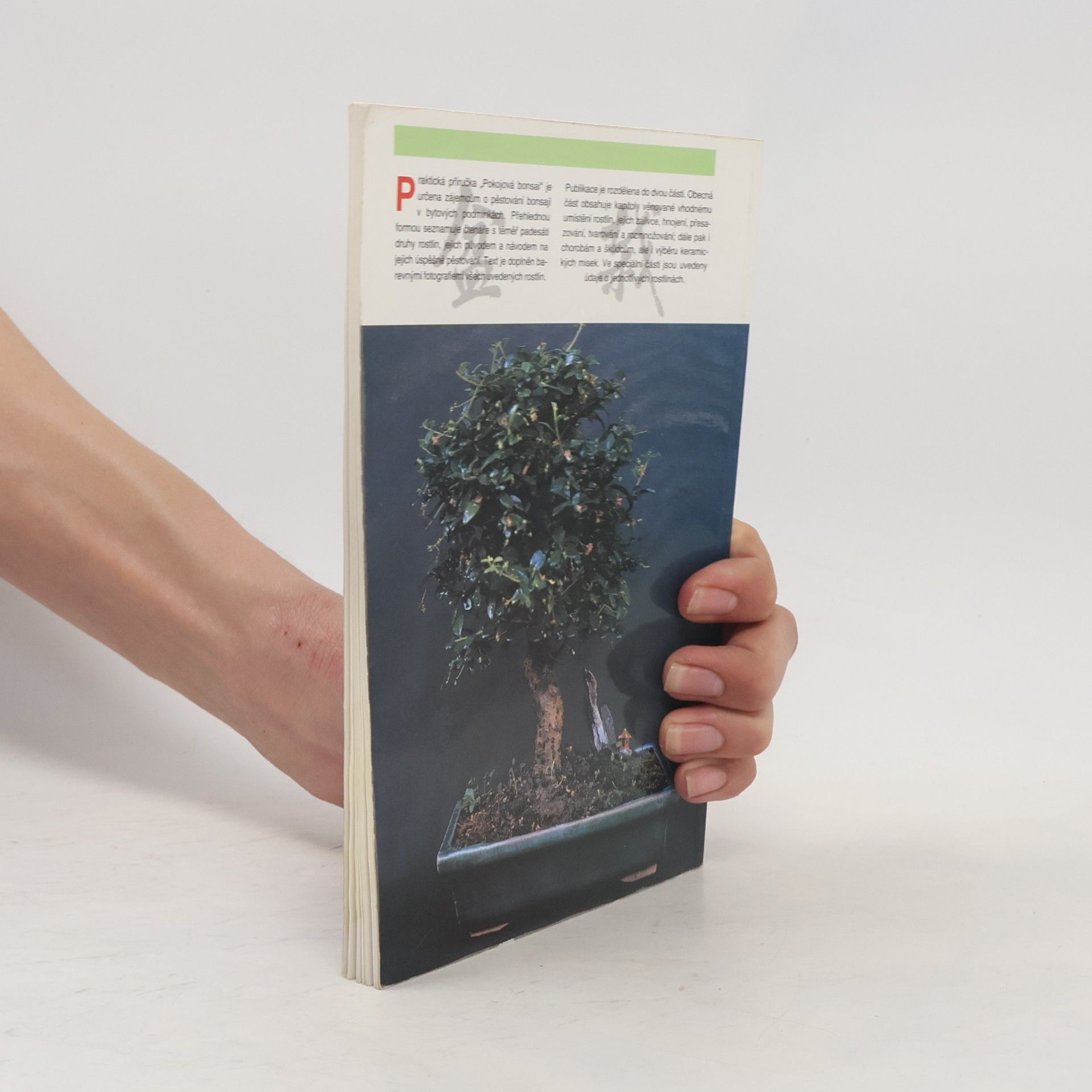 Jindřich Votýpka Pokojová bonsai