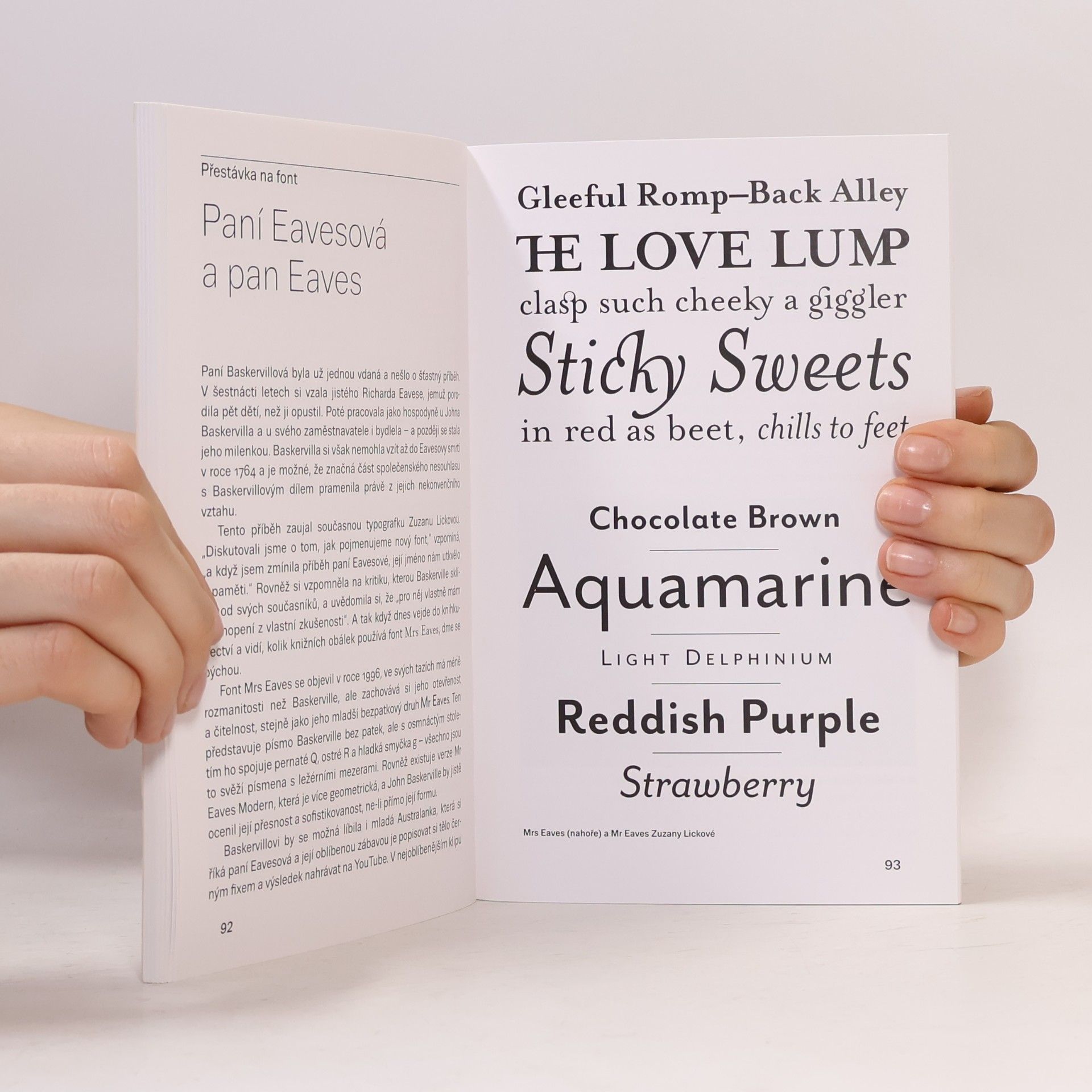 Simon Garfield Ten můj font. Stručné dějiny typografie v esejích