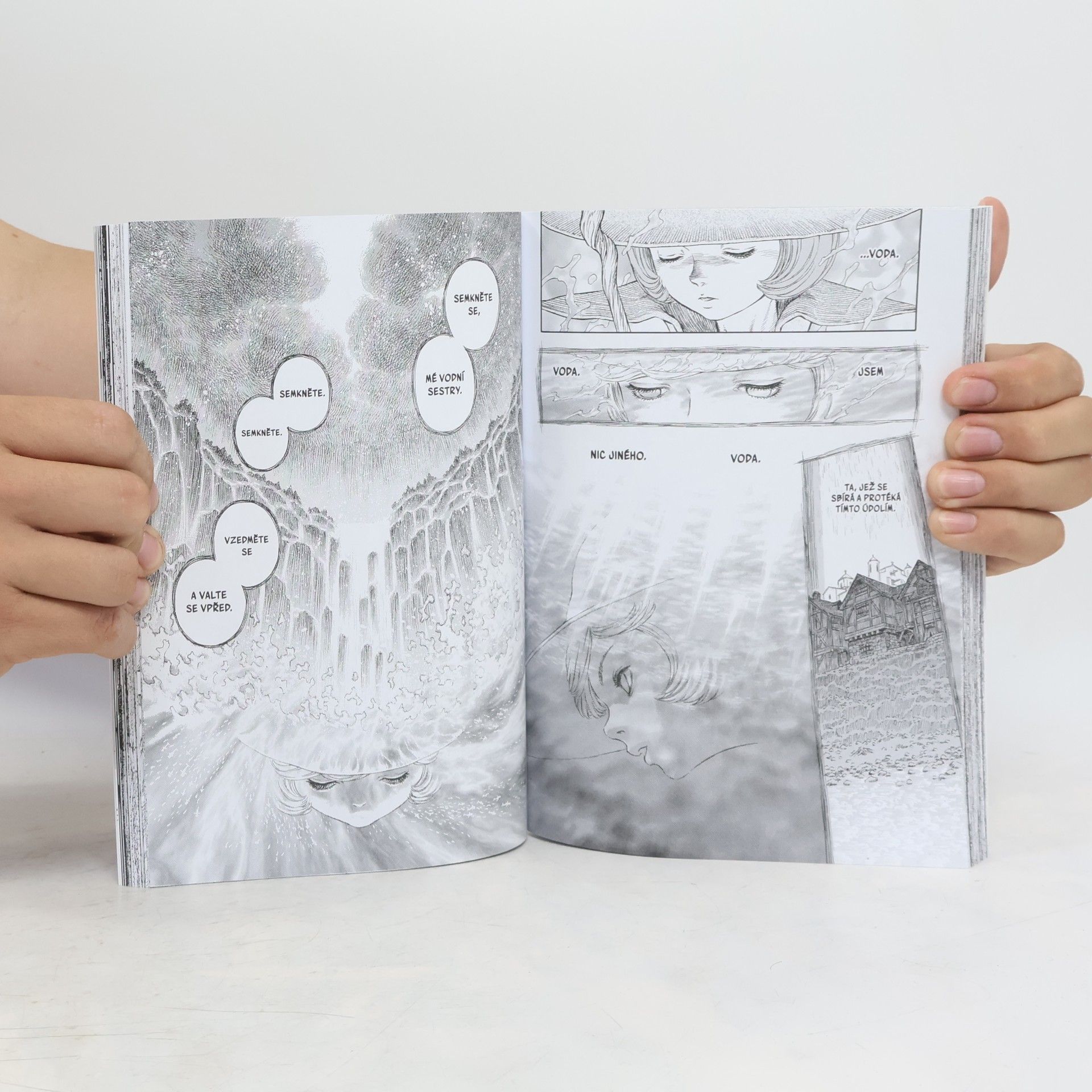 Kentaro Miura Berserk 25