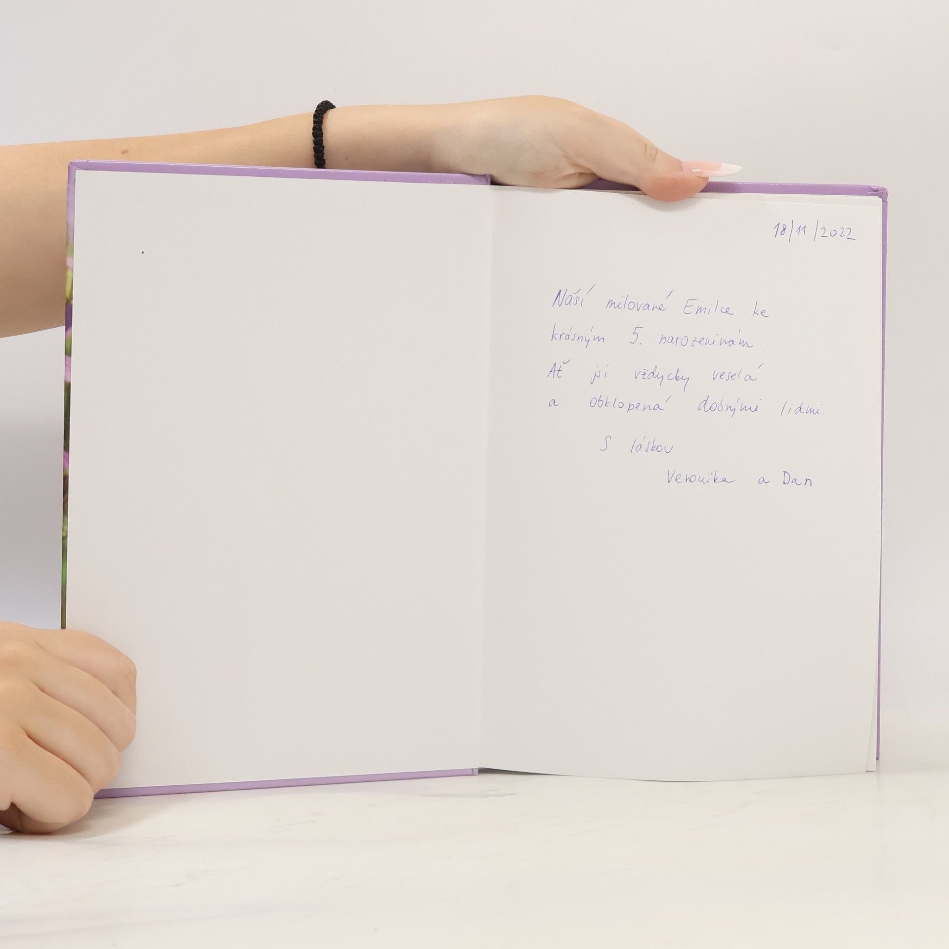 Martina Zíková Vyprávění o víle Bezince