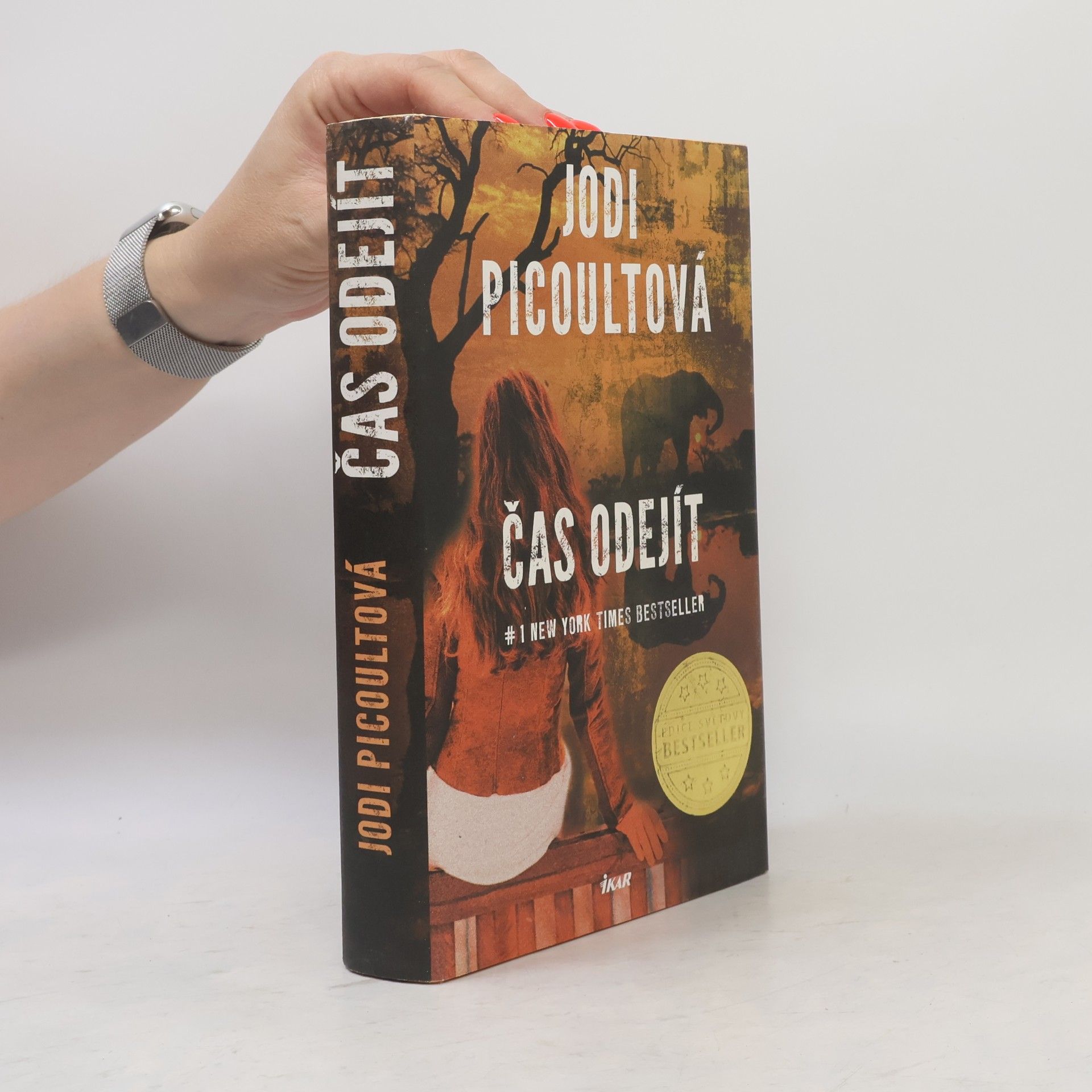 Jodi Picoult Čas odejít