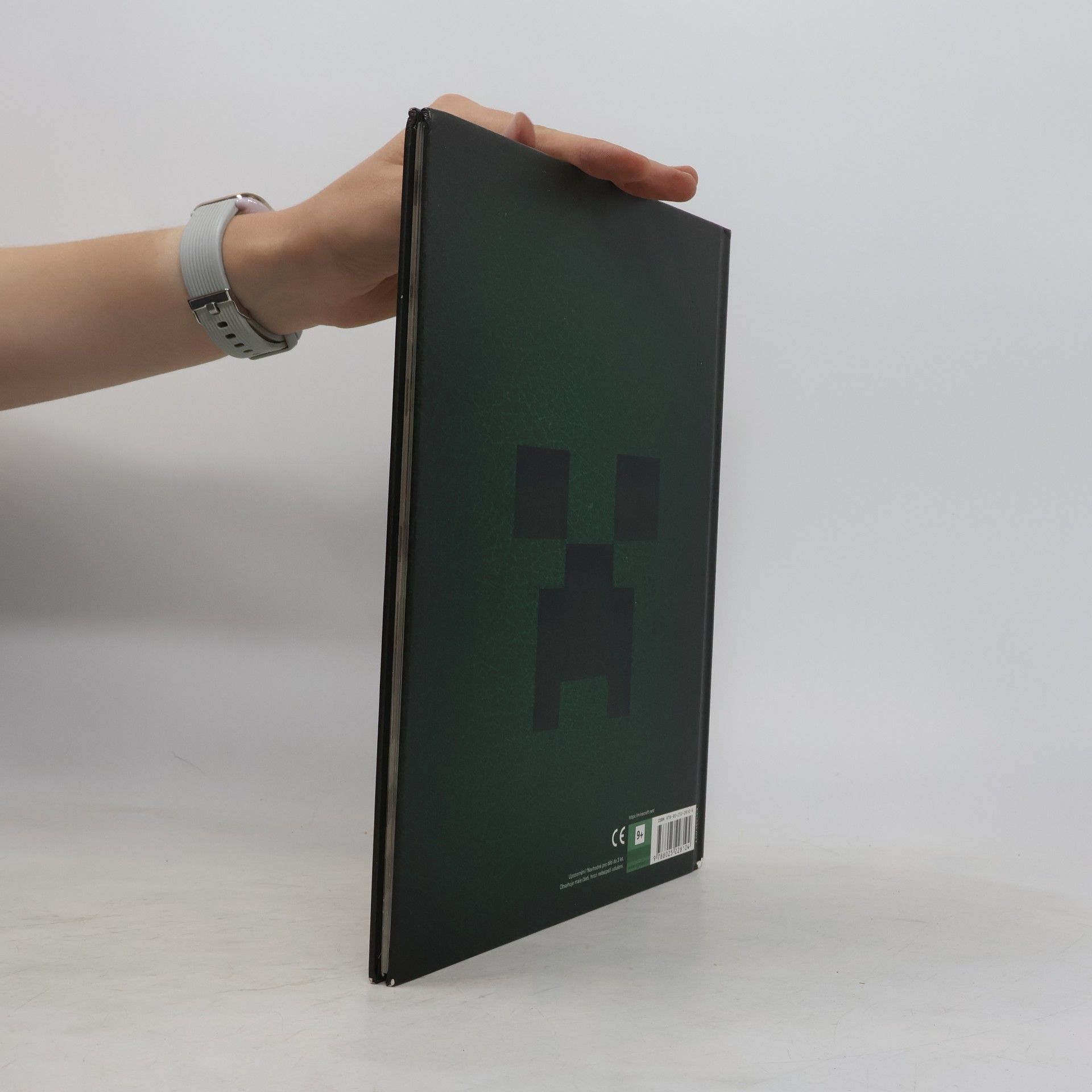 Autorenkollektiv Minecraft - Ročenka