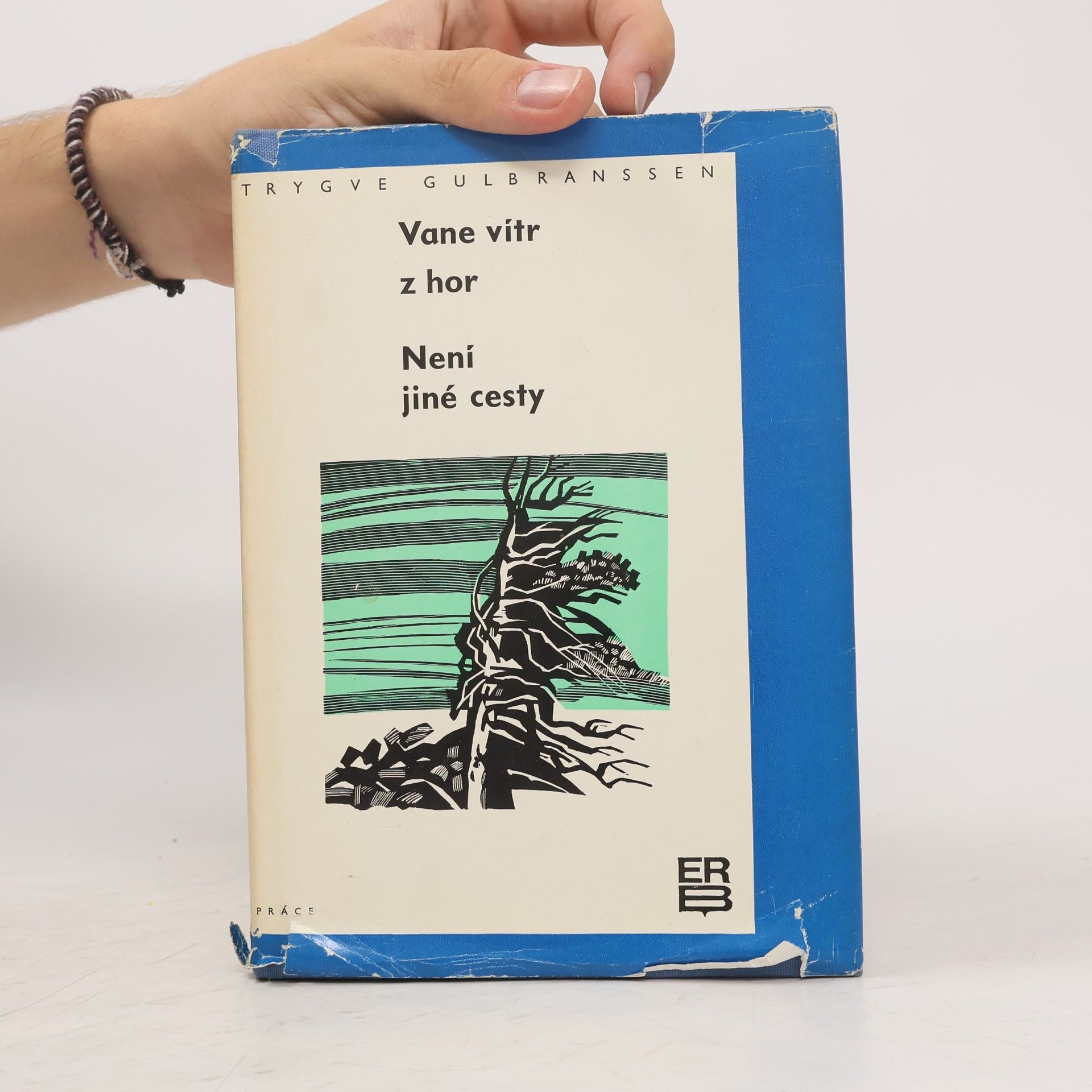 Trygve Gulbranssen Vane vítr z hor. Není jiné cesty