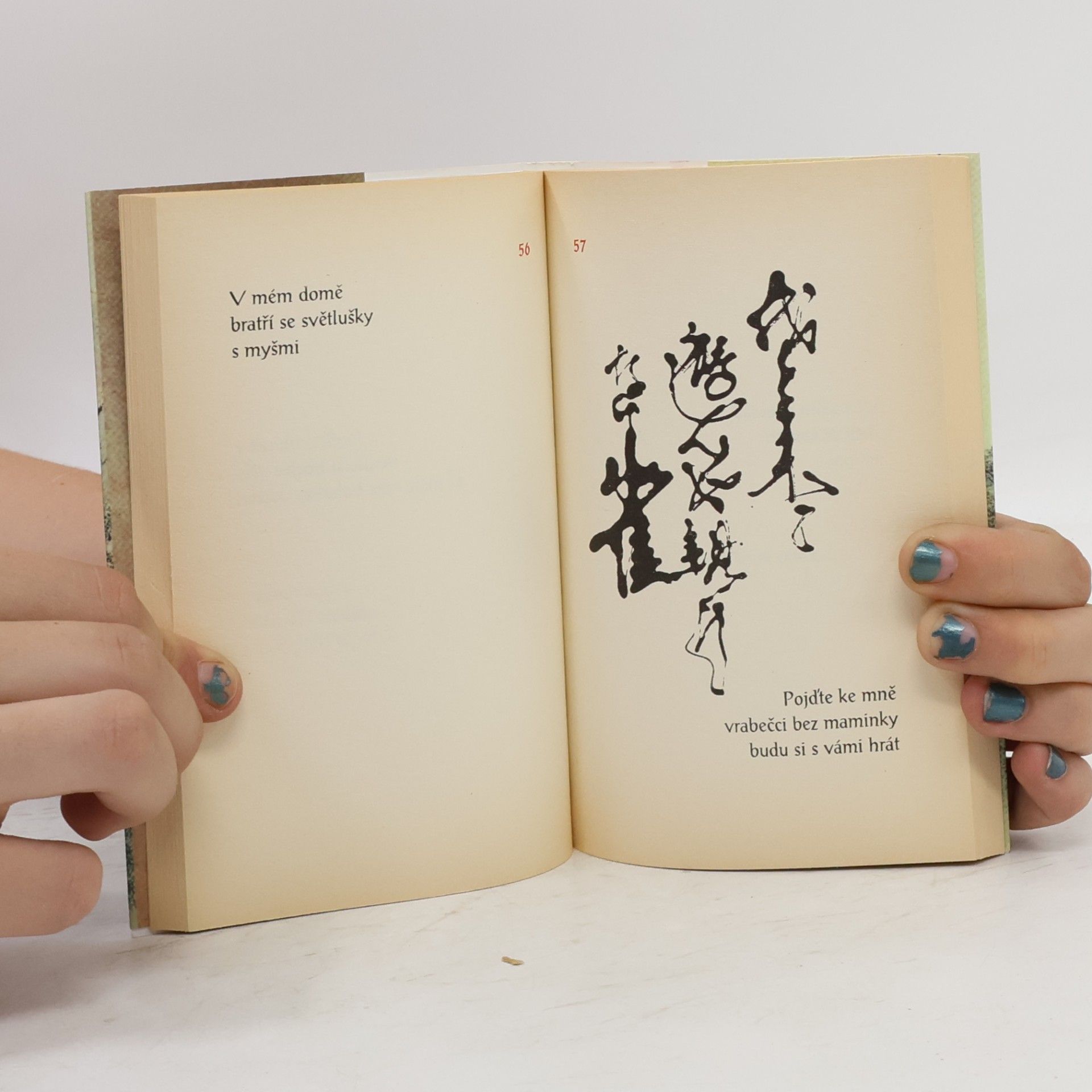 Petr Geisler Pár much a já. Malý výběr z japonských haiku