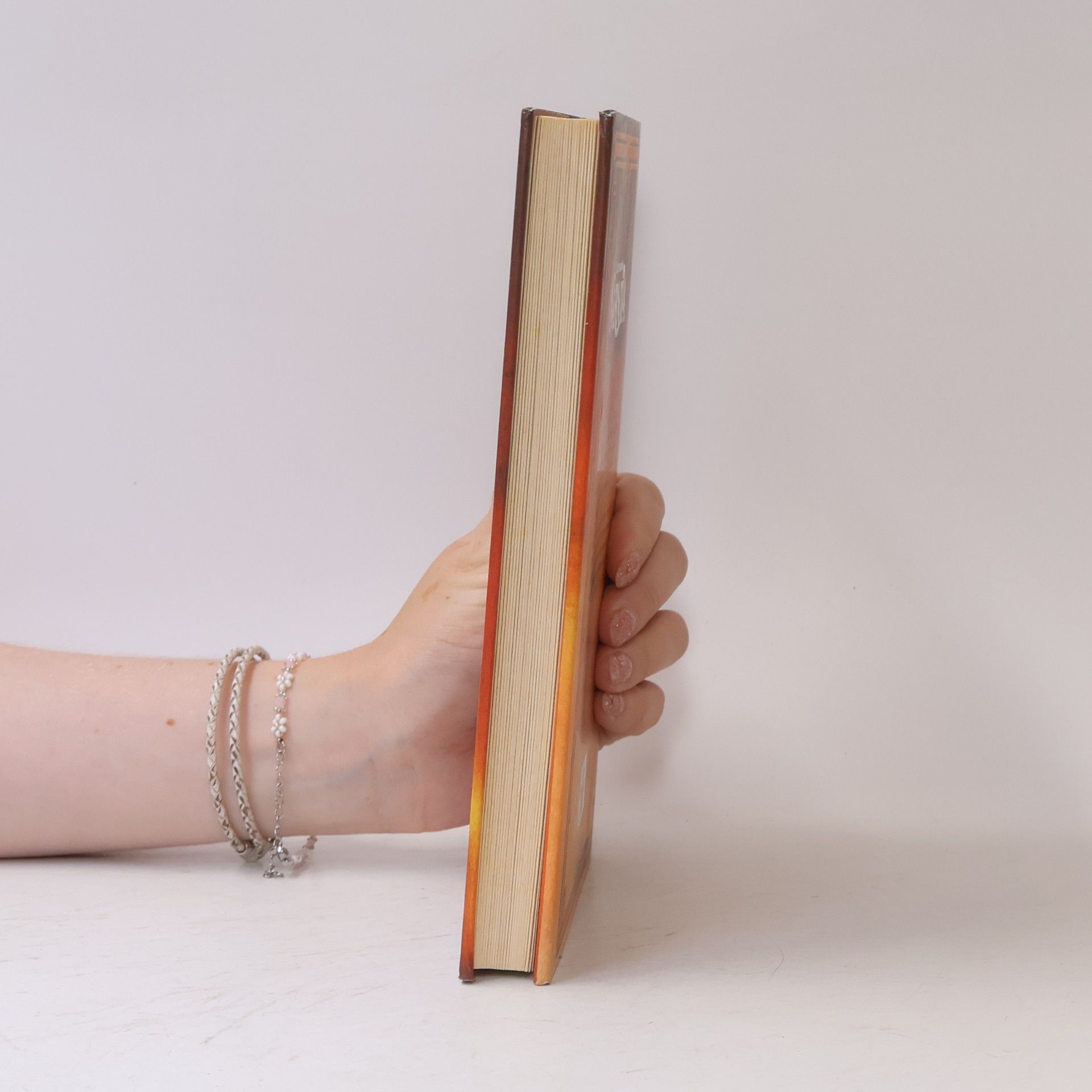 Clive Staples Lewis Die Chroniken von Narnia. Der Ritt nach Narnia