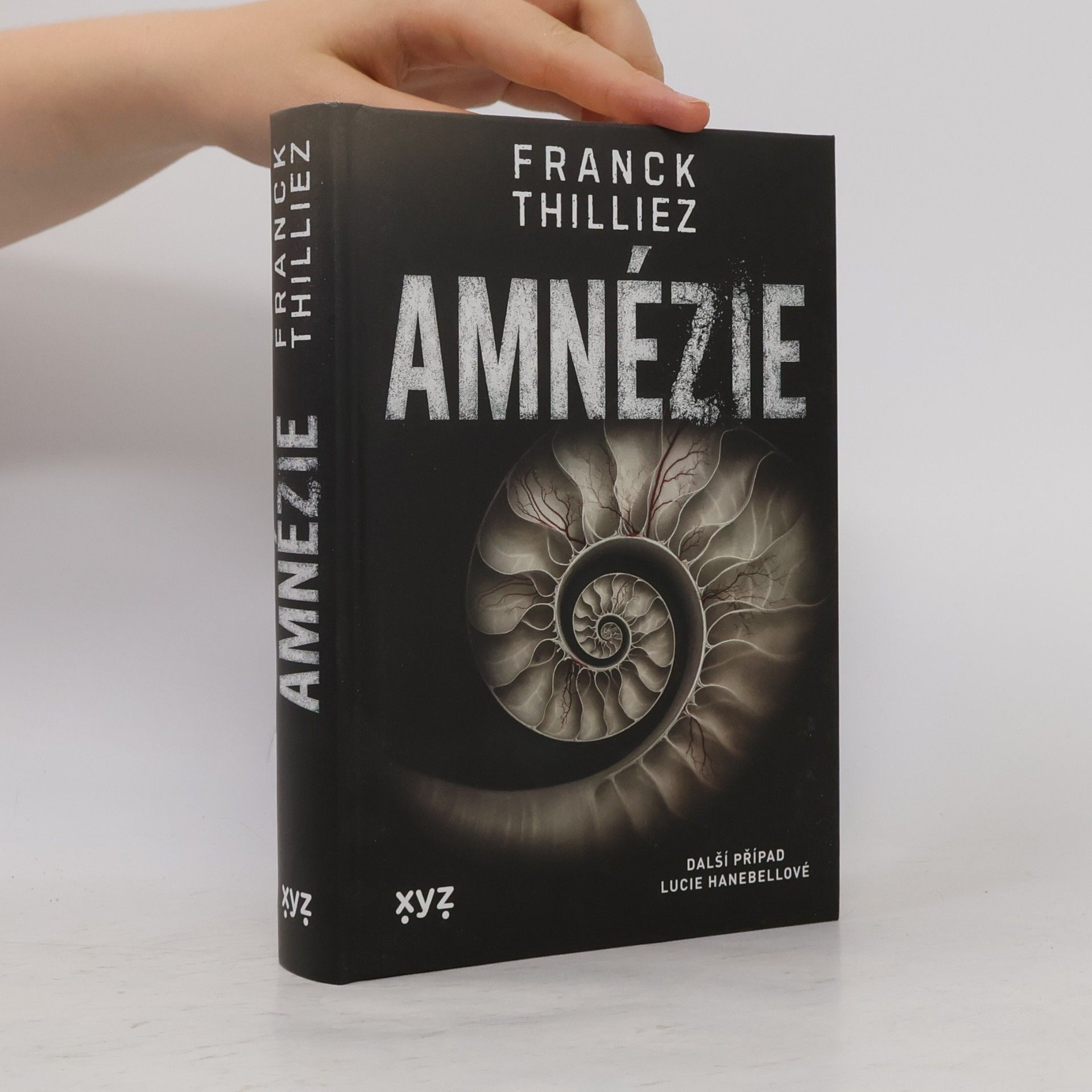 Franck Thilliez Amnézie