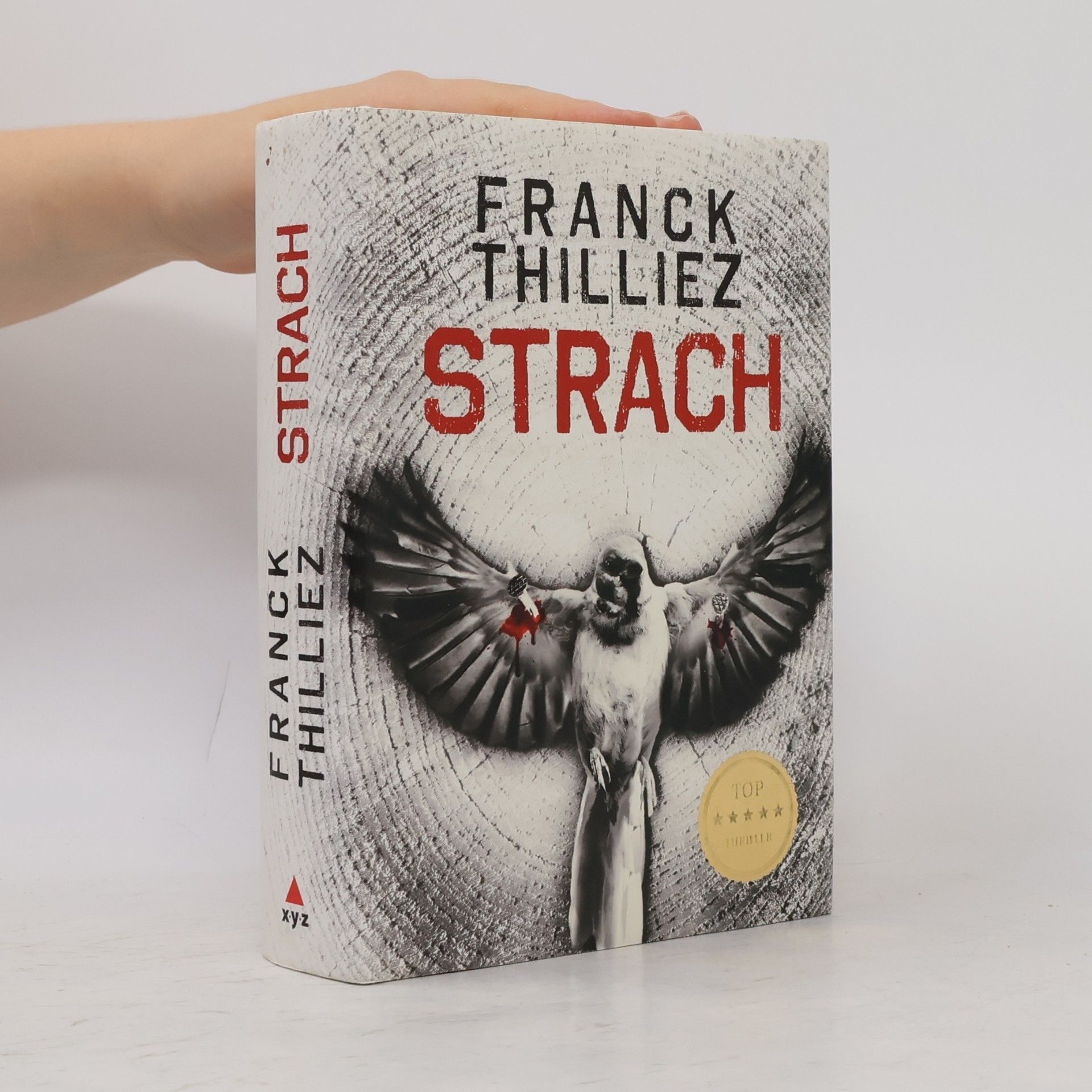 Franck Thilliez Strach