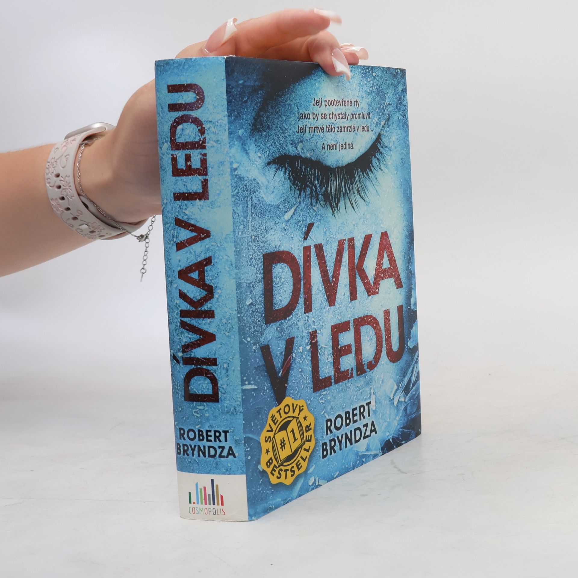 Robert Bryndza Dívka v ledu