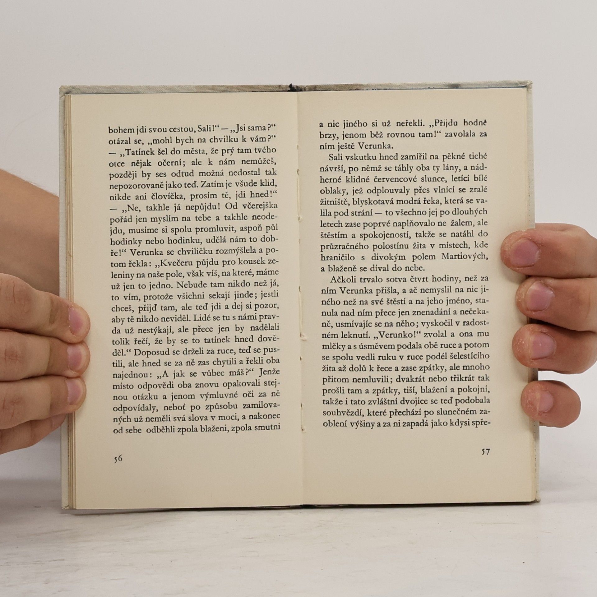 Gottfried Keller Romeo a Julie na vsi