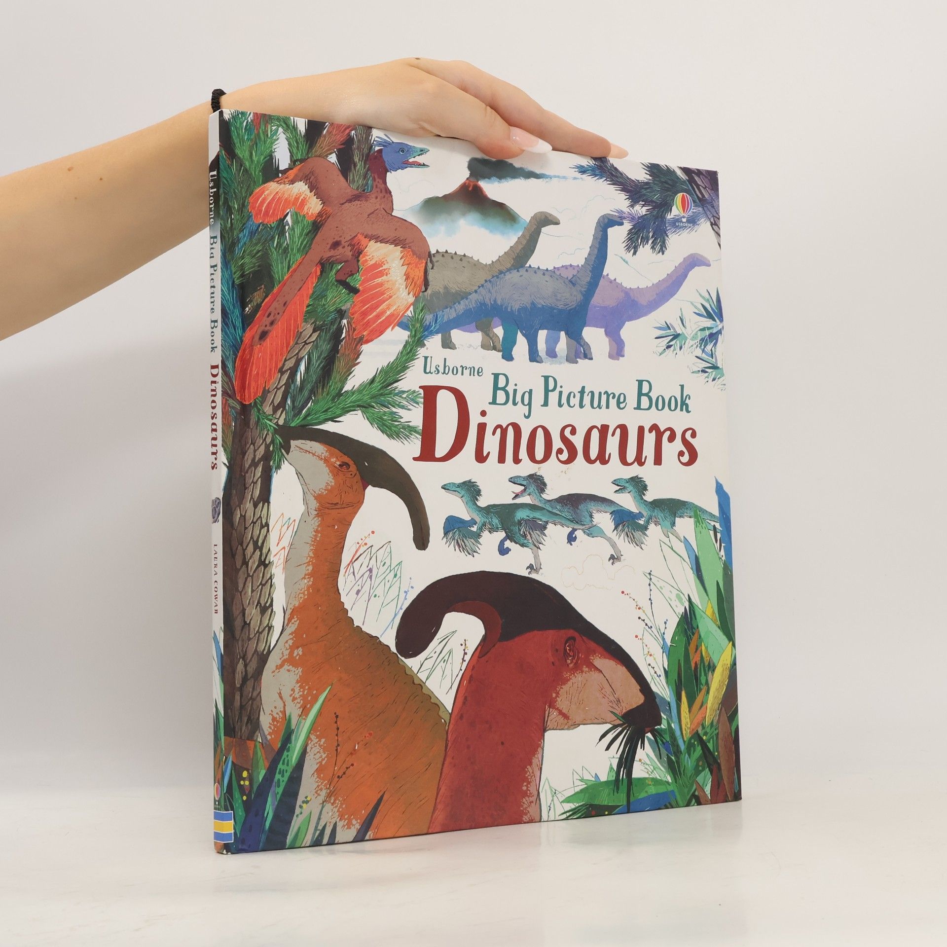 Laura Cowan Big Picture Book Dinosaurs