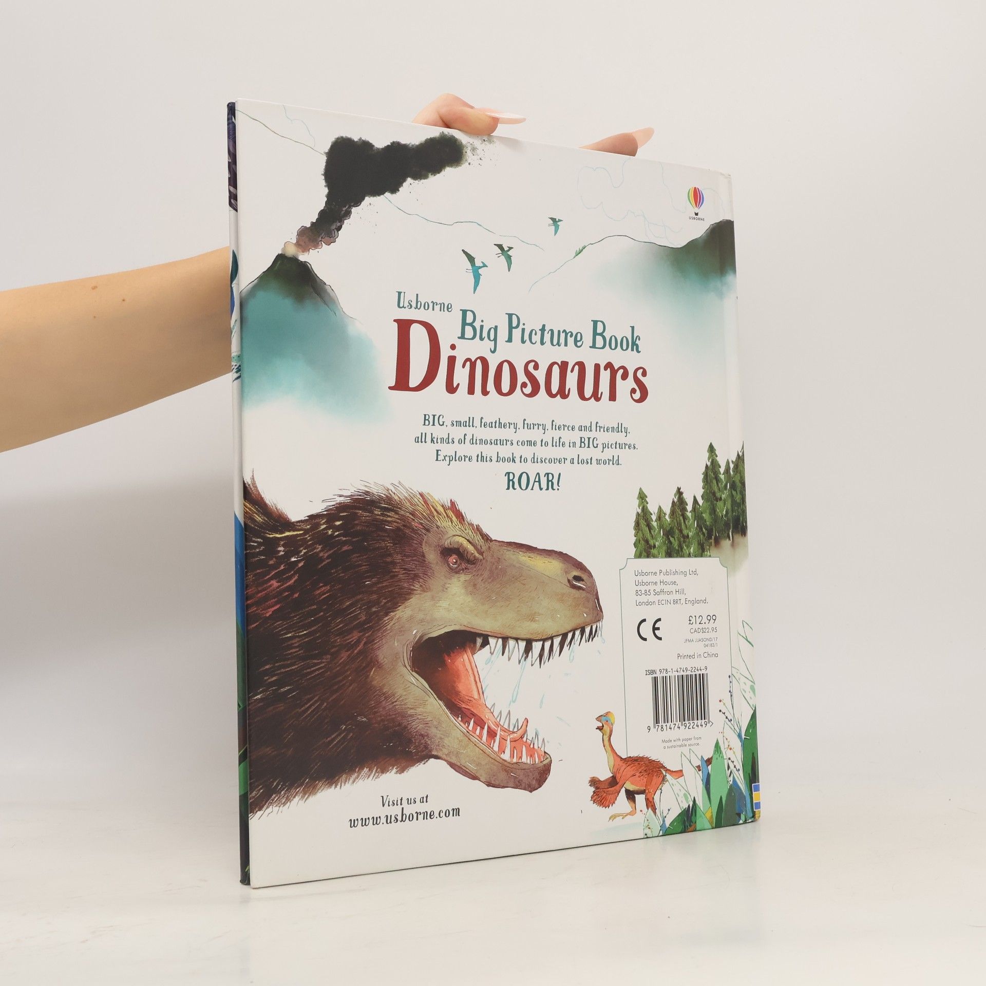 Laura Cowan Big Picture Book Dinosaurs