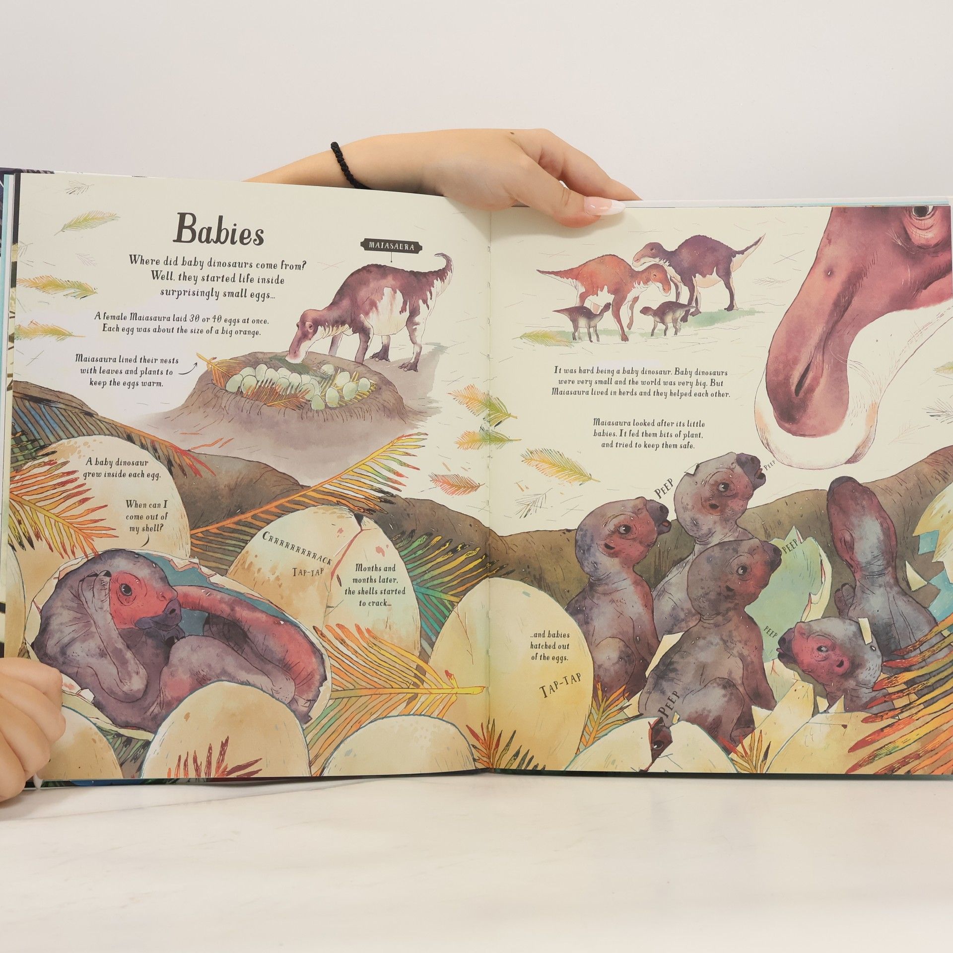 Laura Cowan Big Picture Book Dinosaurs