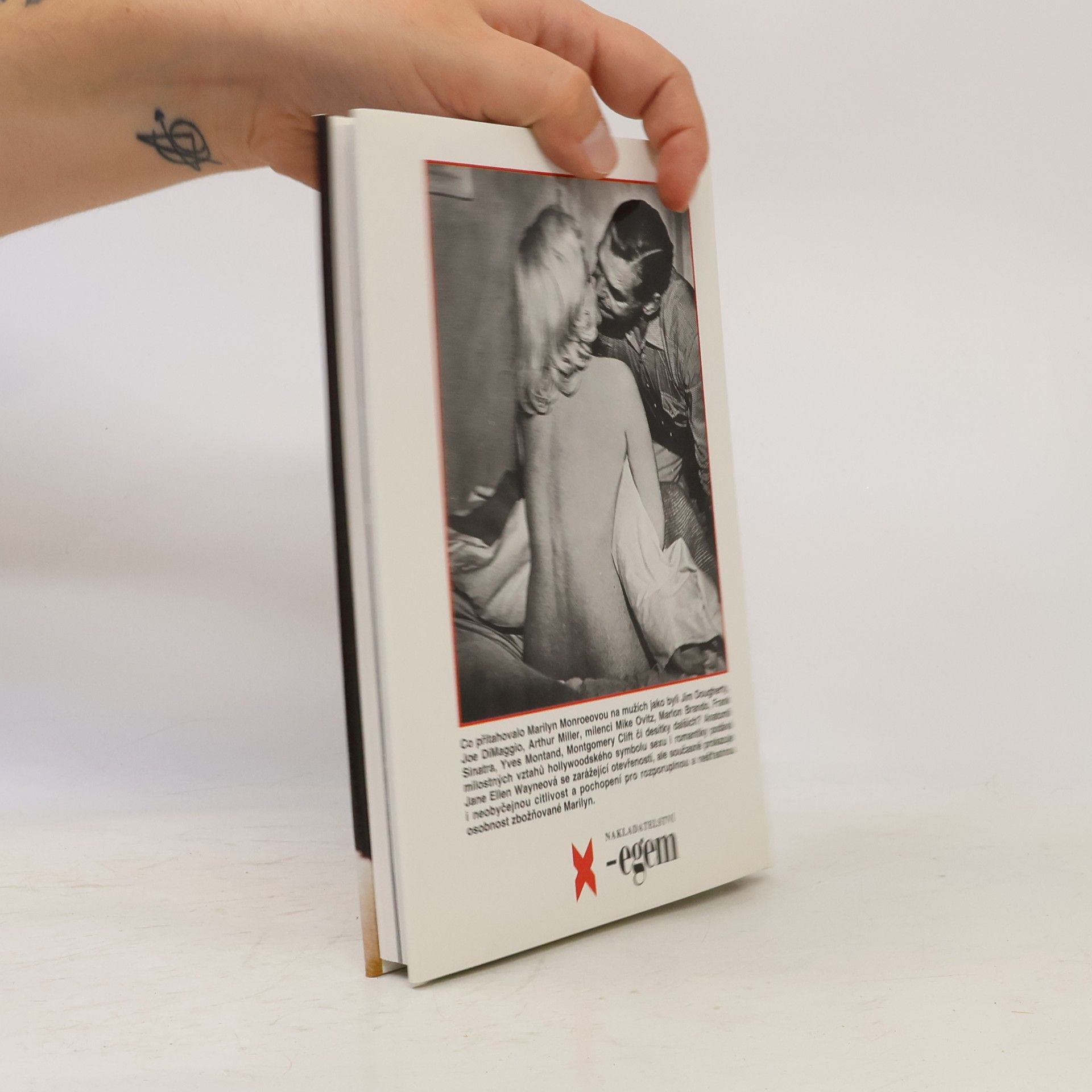 Jane Ellen Wayne Všichni muži Marilyn