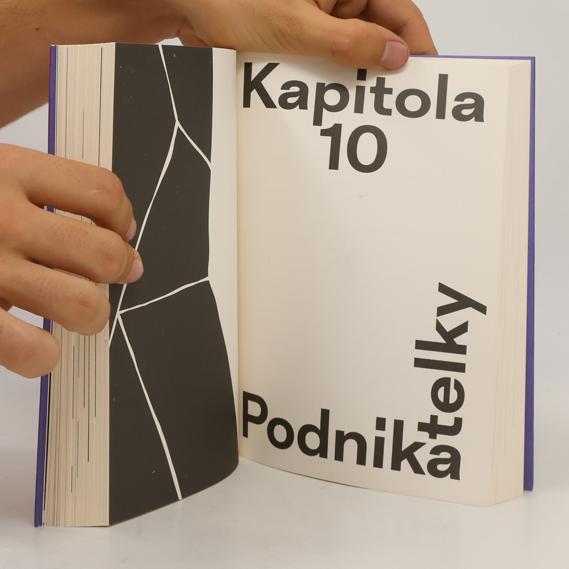 Šárka Homfray Pay Gap: Kratší konec provazu