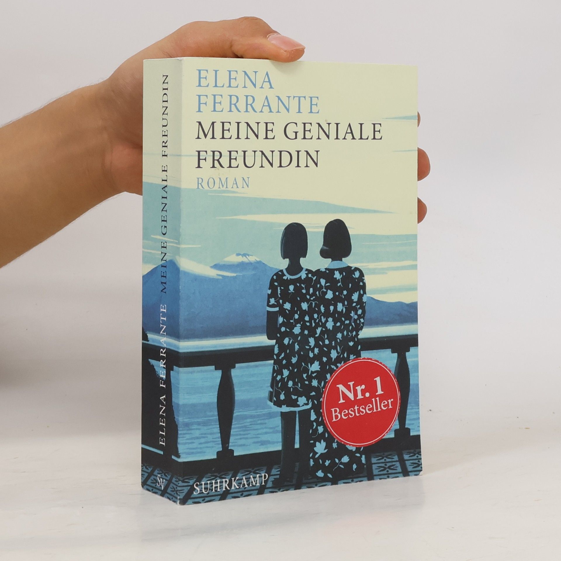 Elena Ferrante Meine geniale Freundin