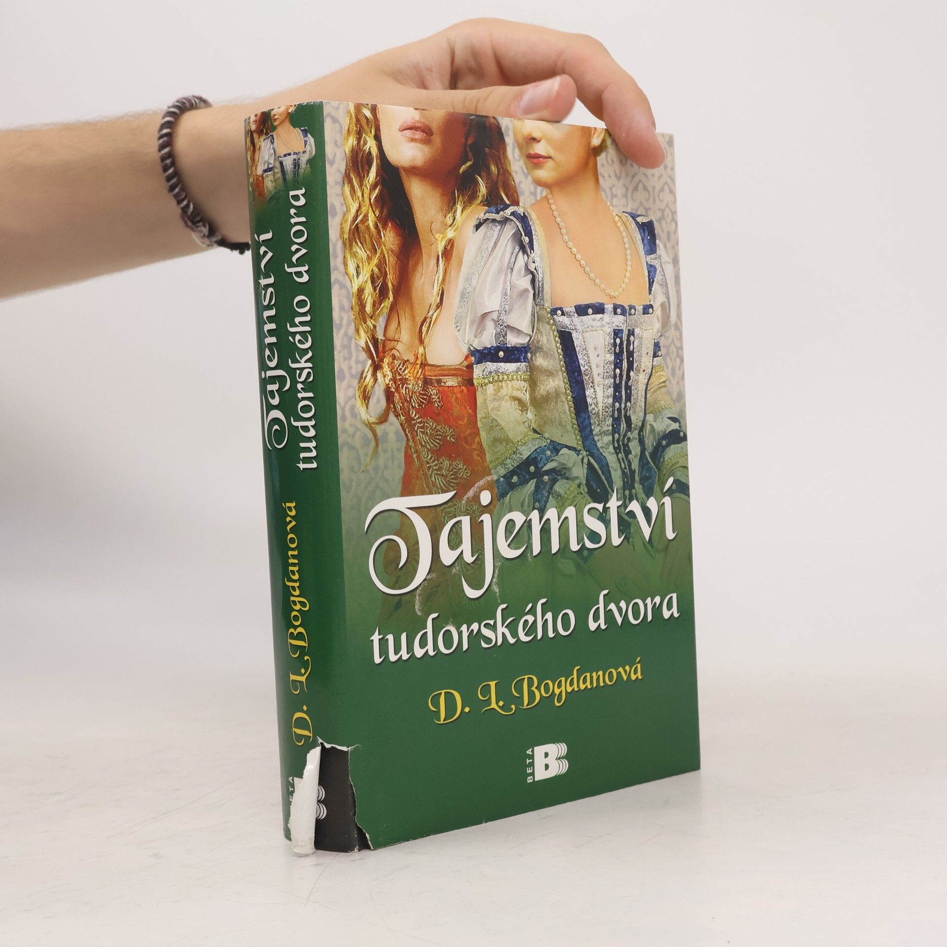 Darcey Bonnette Tajemství tudorského dvora