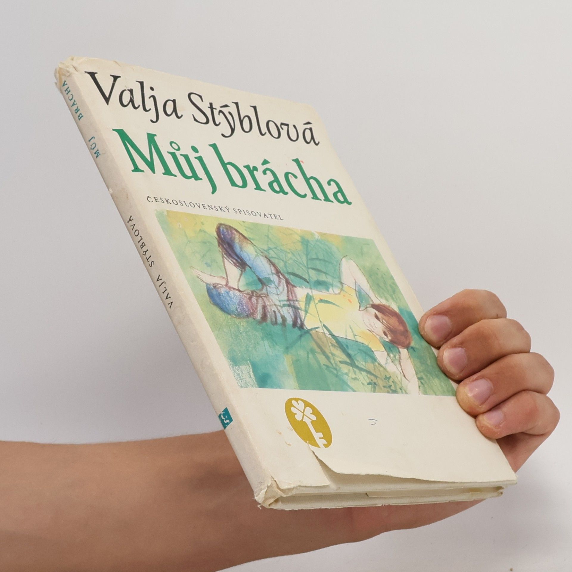 Valja Stýblová Můj brácha