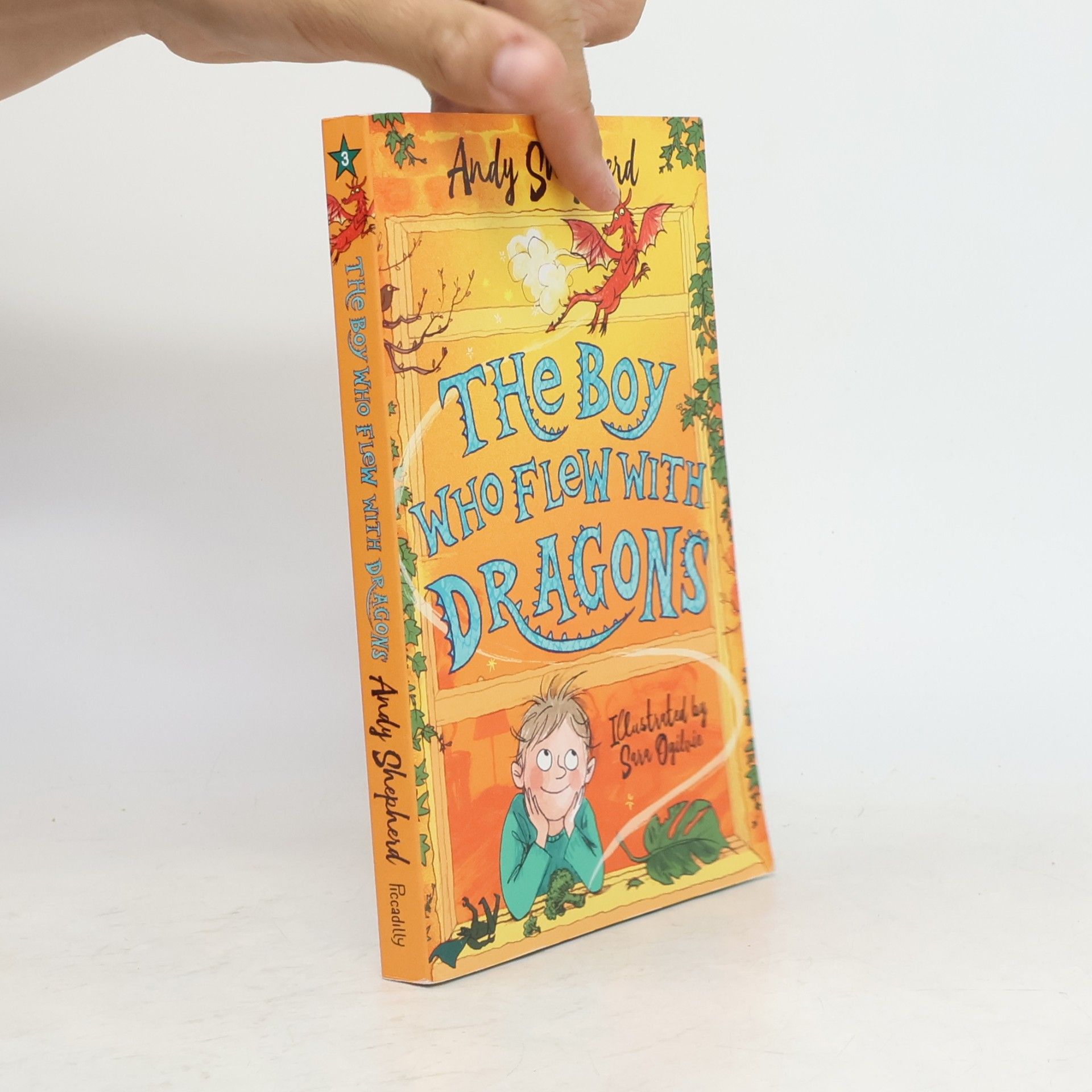 Andy Shepherd The Boy Who Flew with Dragons