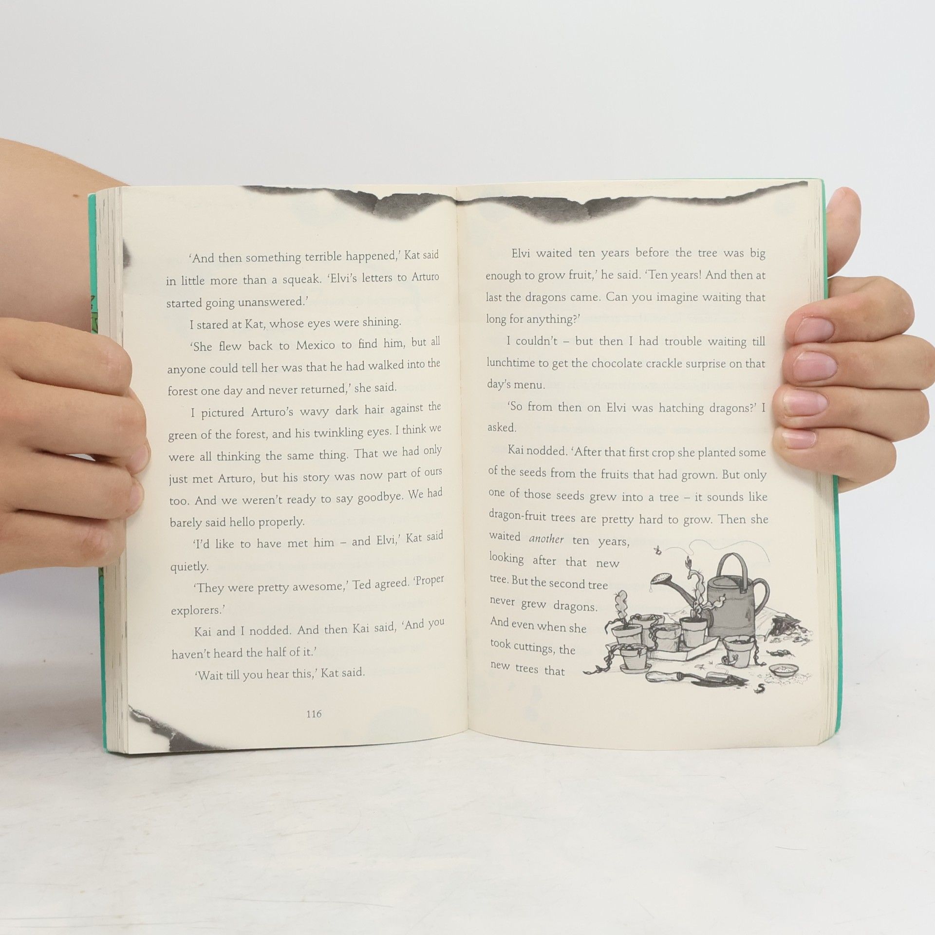 Andy Shepherd The Boy Who Flew with Dragons