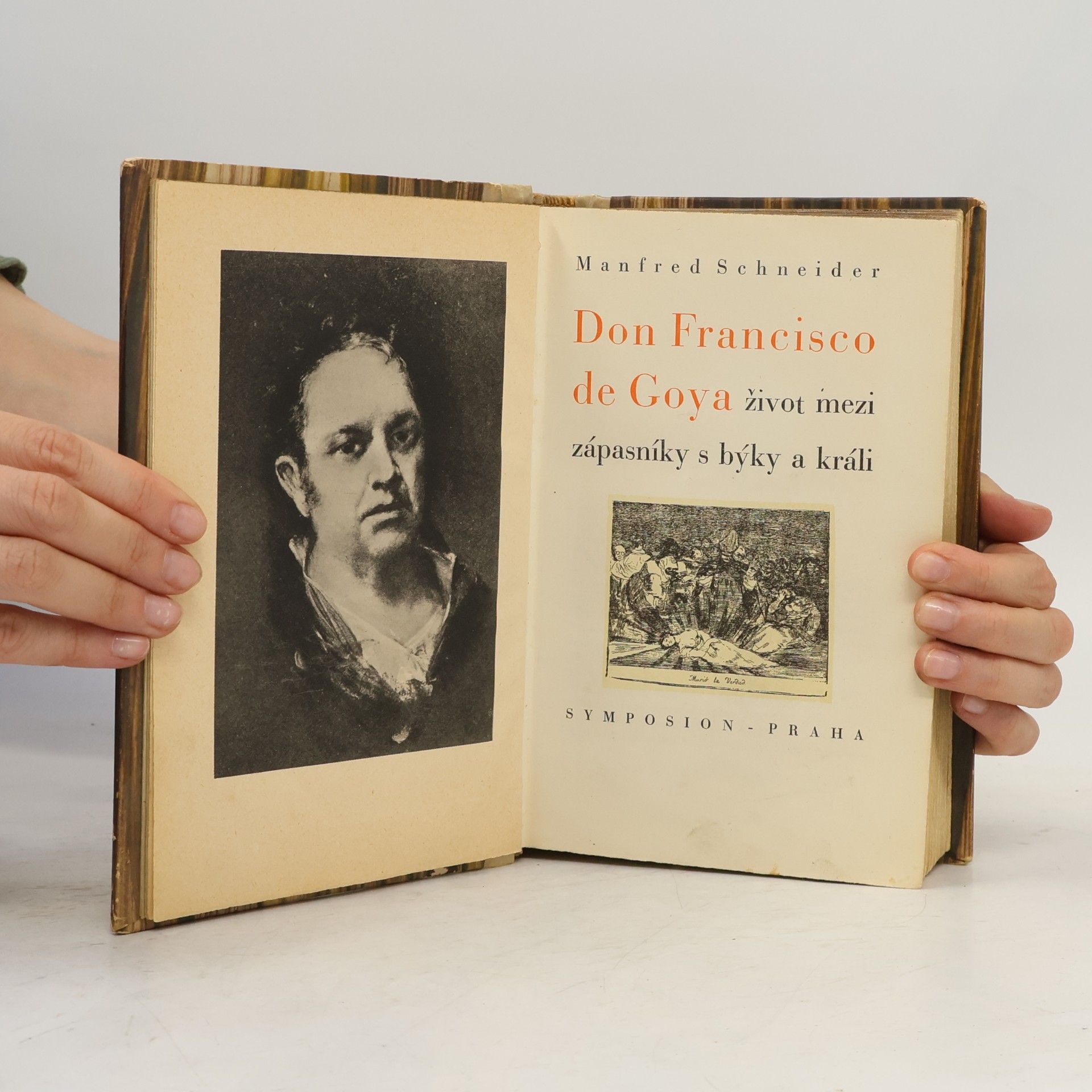 Manfred Schneider Don Francisco de Goya