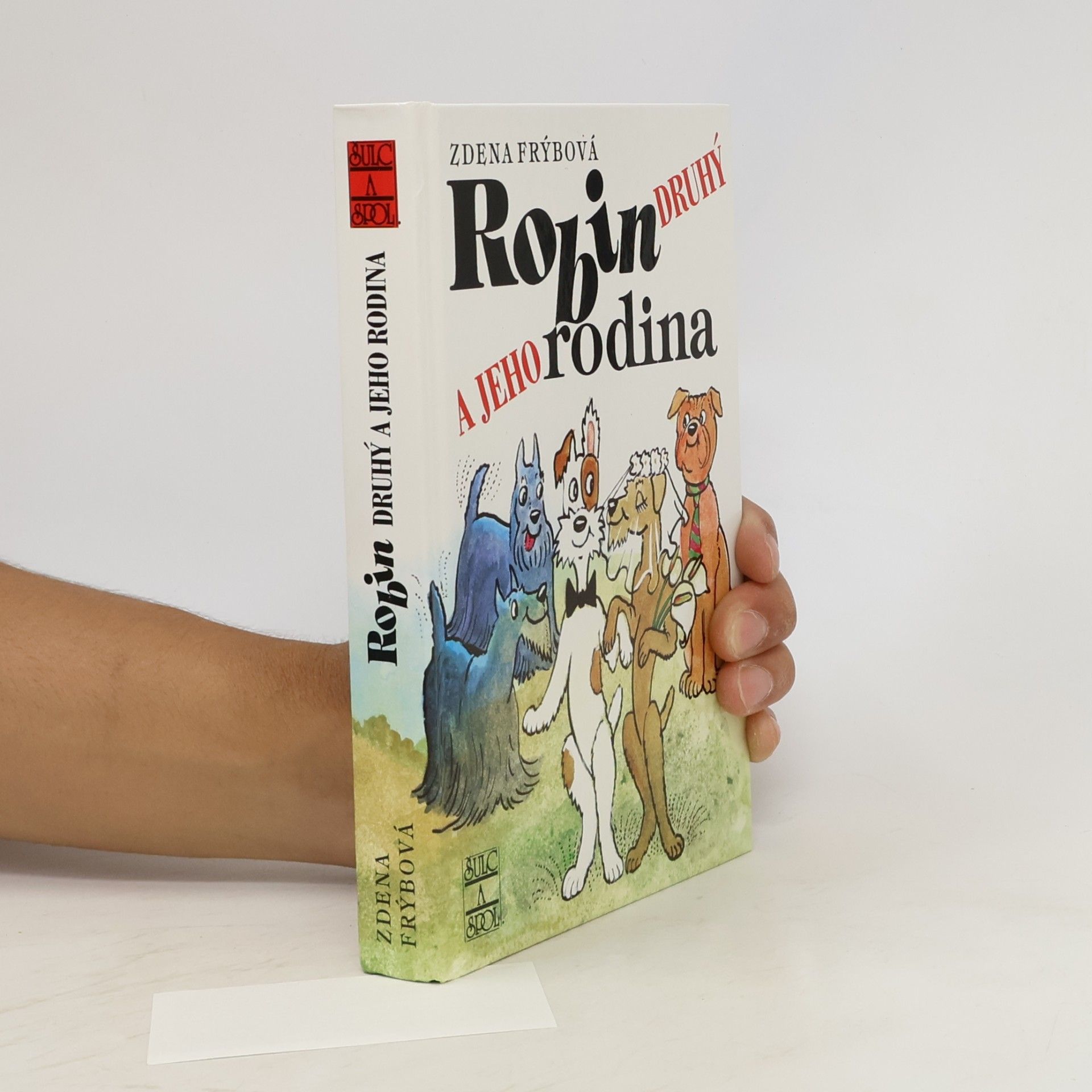 Zdena Frýbová Robin Druhý a jeho rodina
