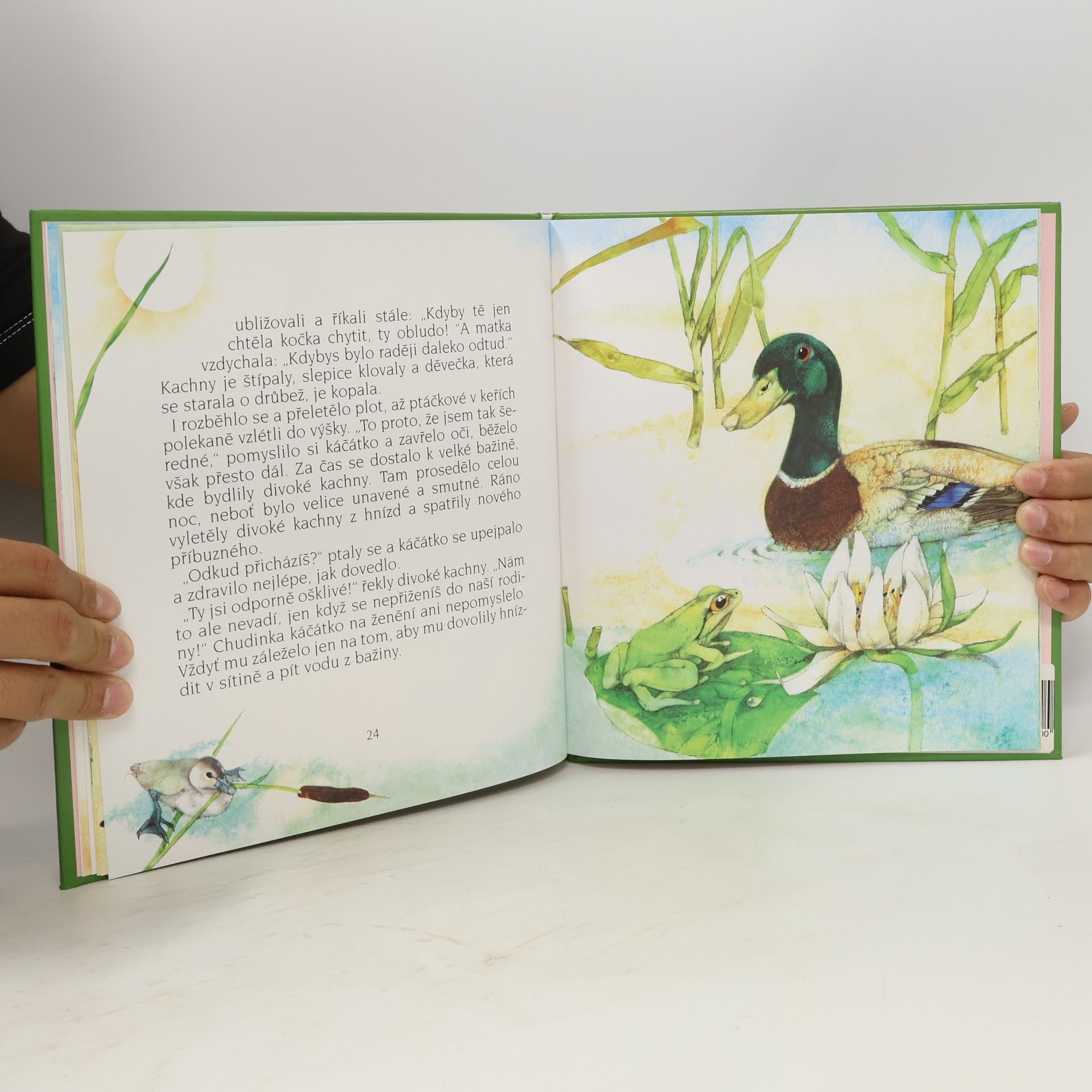 Hans-Christian Andersen Ošklivé káčátko