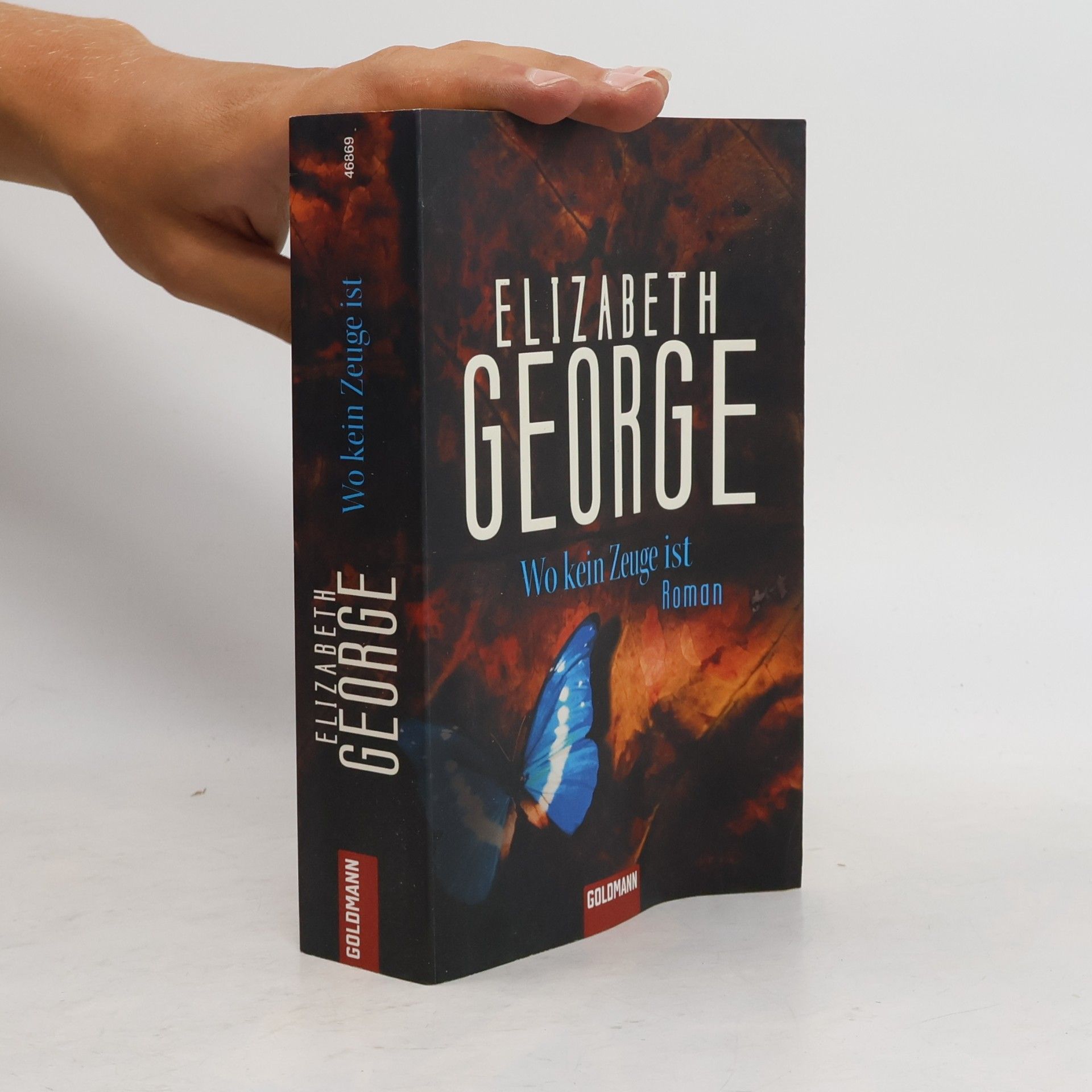 Elizabeth George Wo kein Zeuge ist