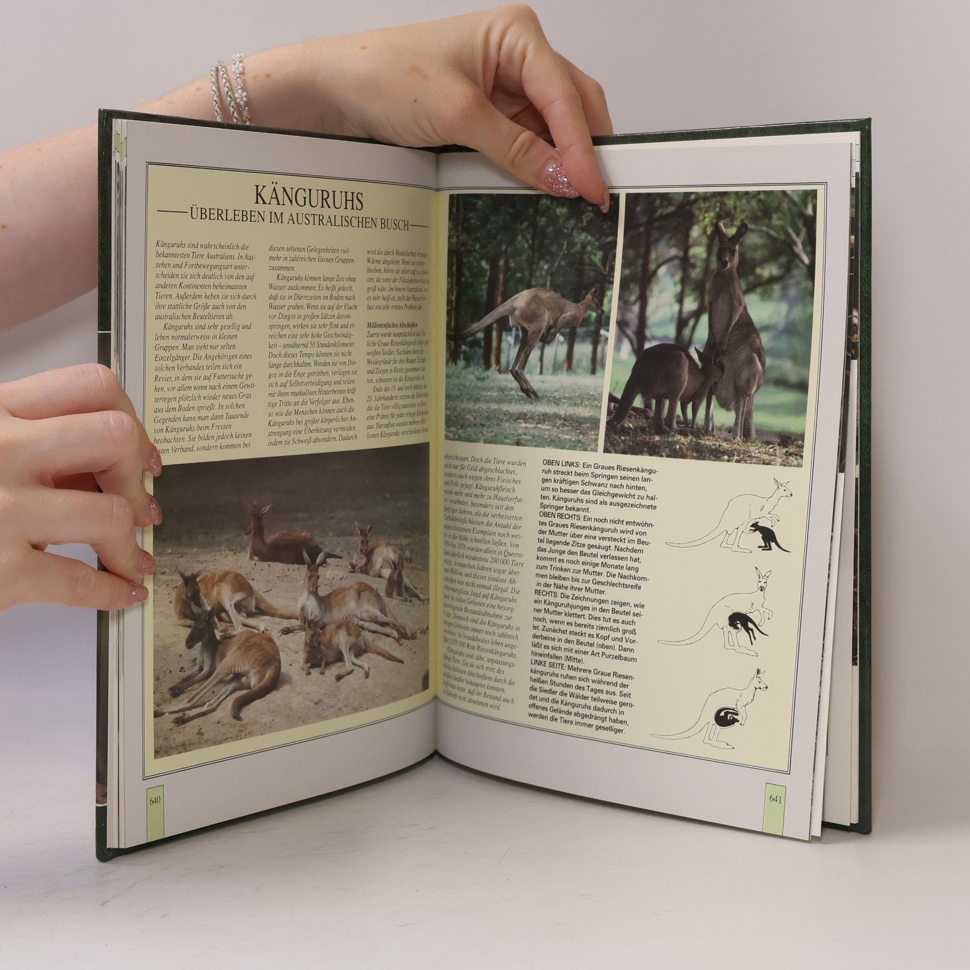 Autorenkollektiv Lebendiges Tierreich Band 11