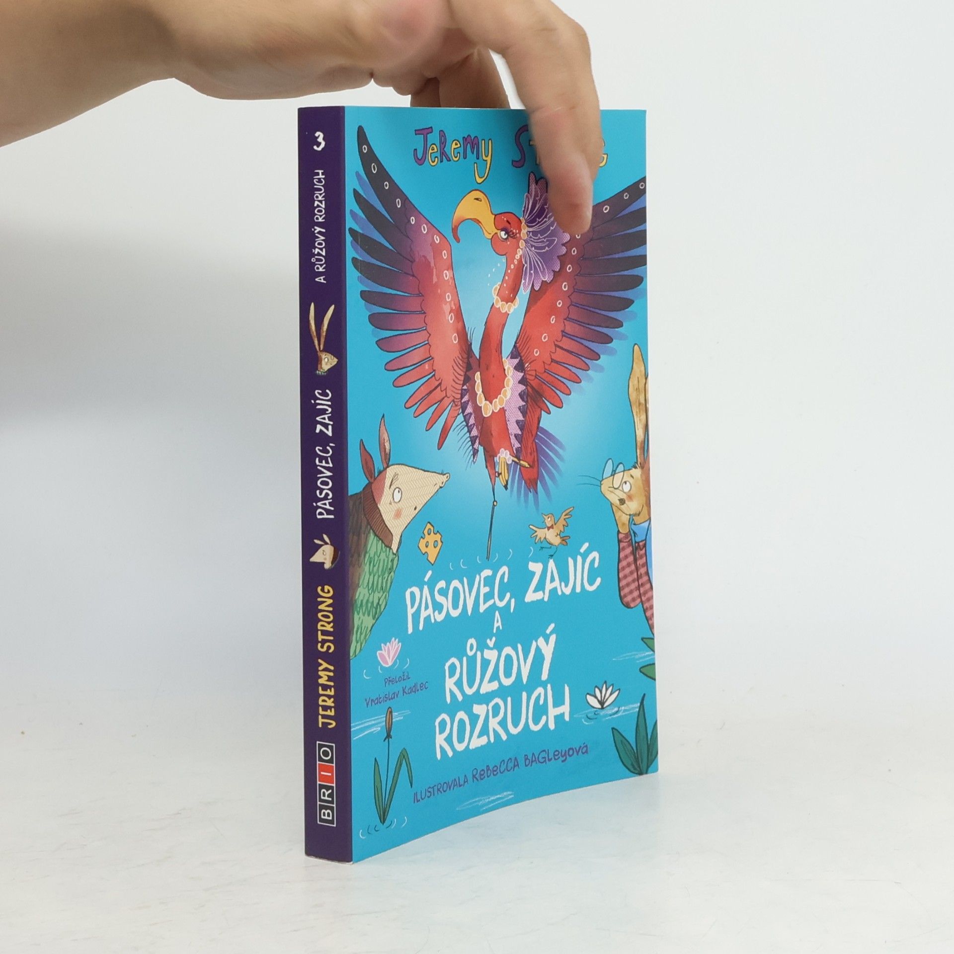 Jeremy Strong Pásovec, Zajíc a růžový rozruch