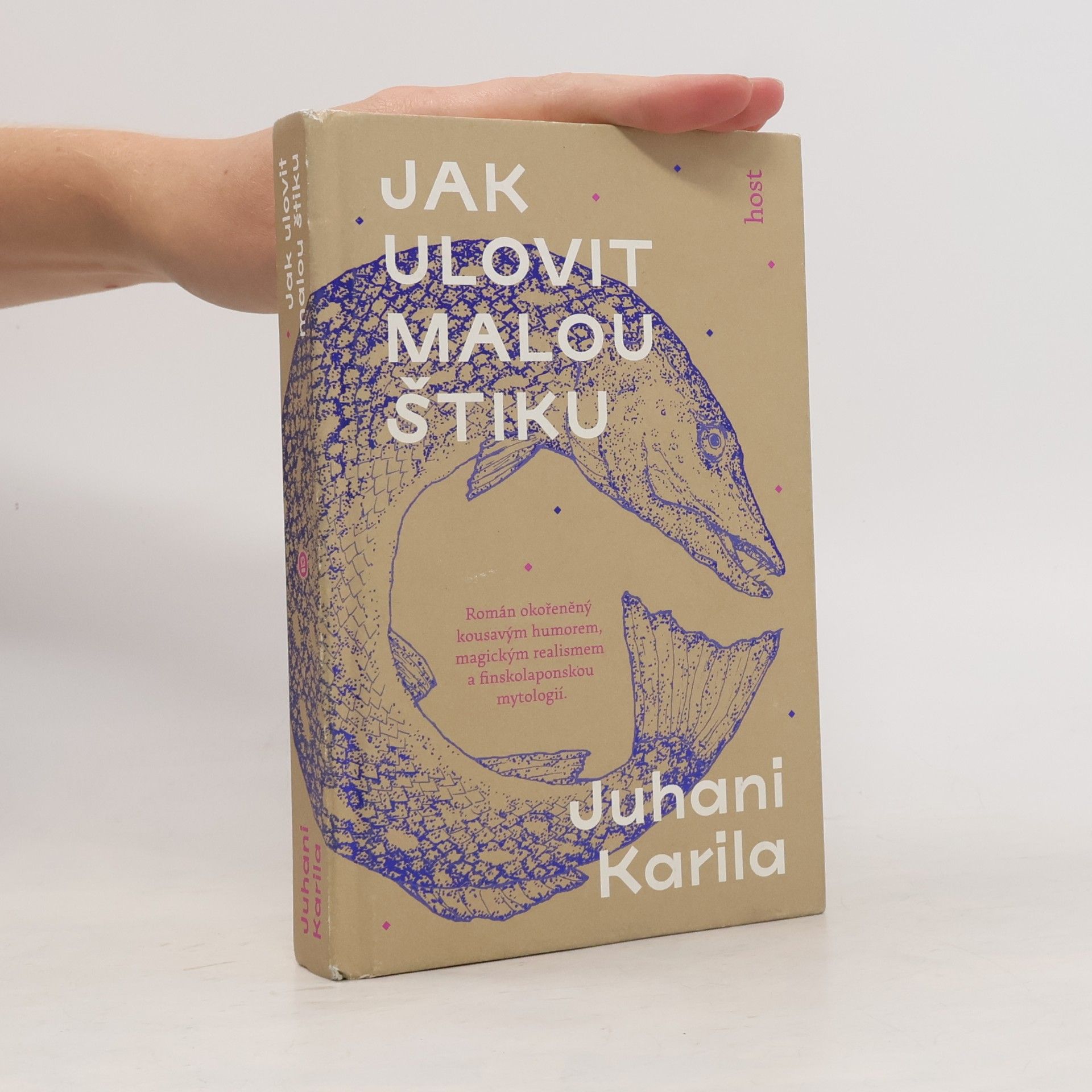 Juhani Karila Jak ulovit malou štiku