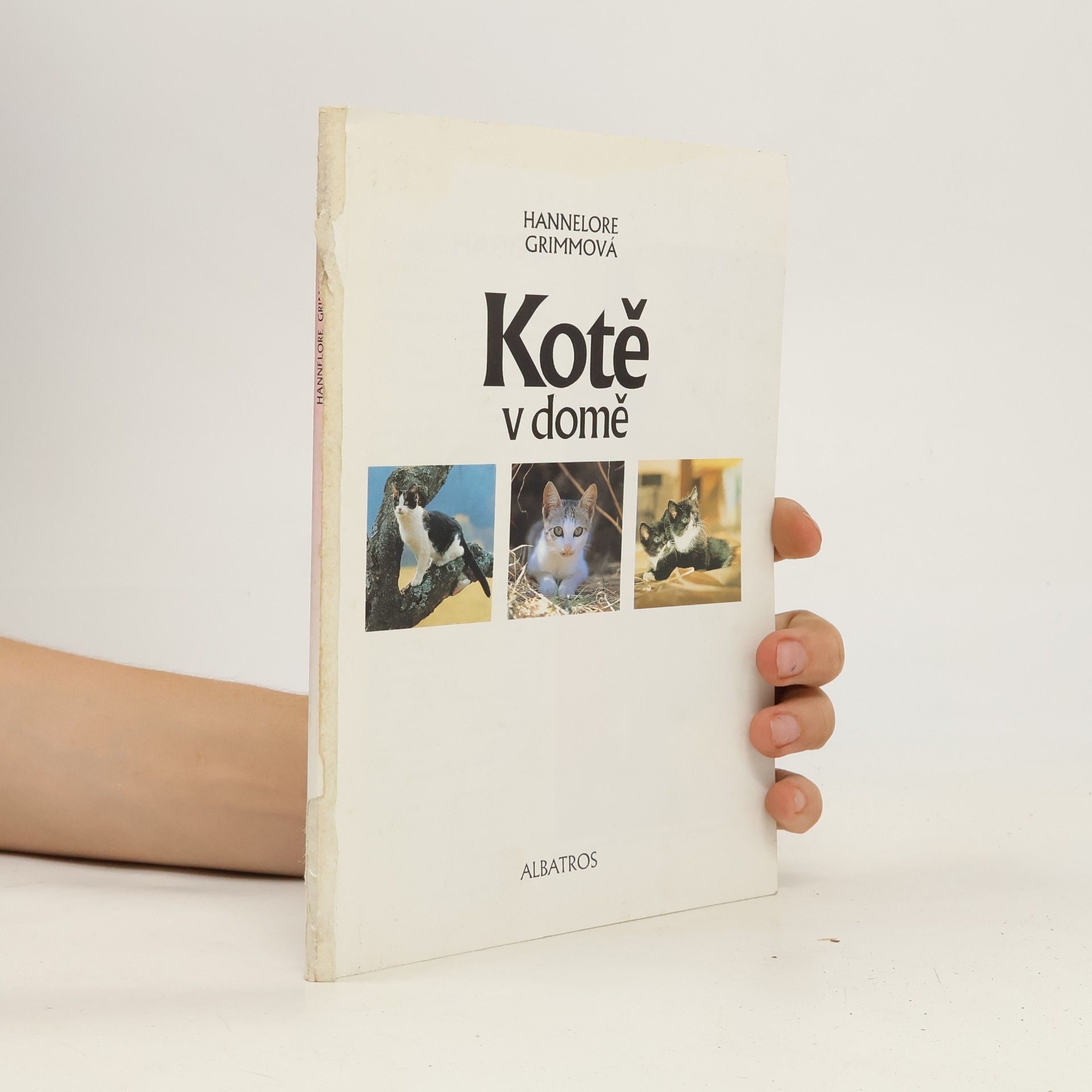 Hannelore Grimm Kotě v domě