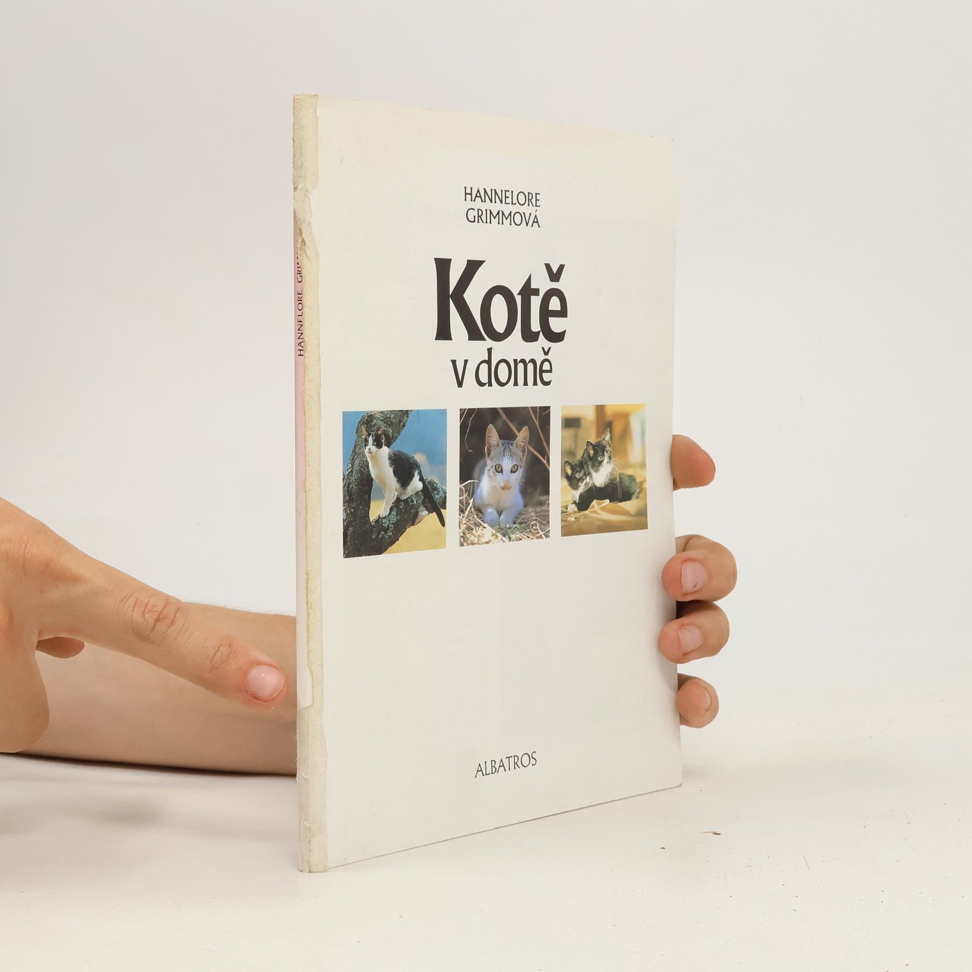 Hannelore Grimm Kotě v domě