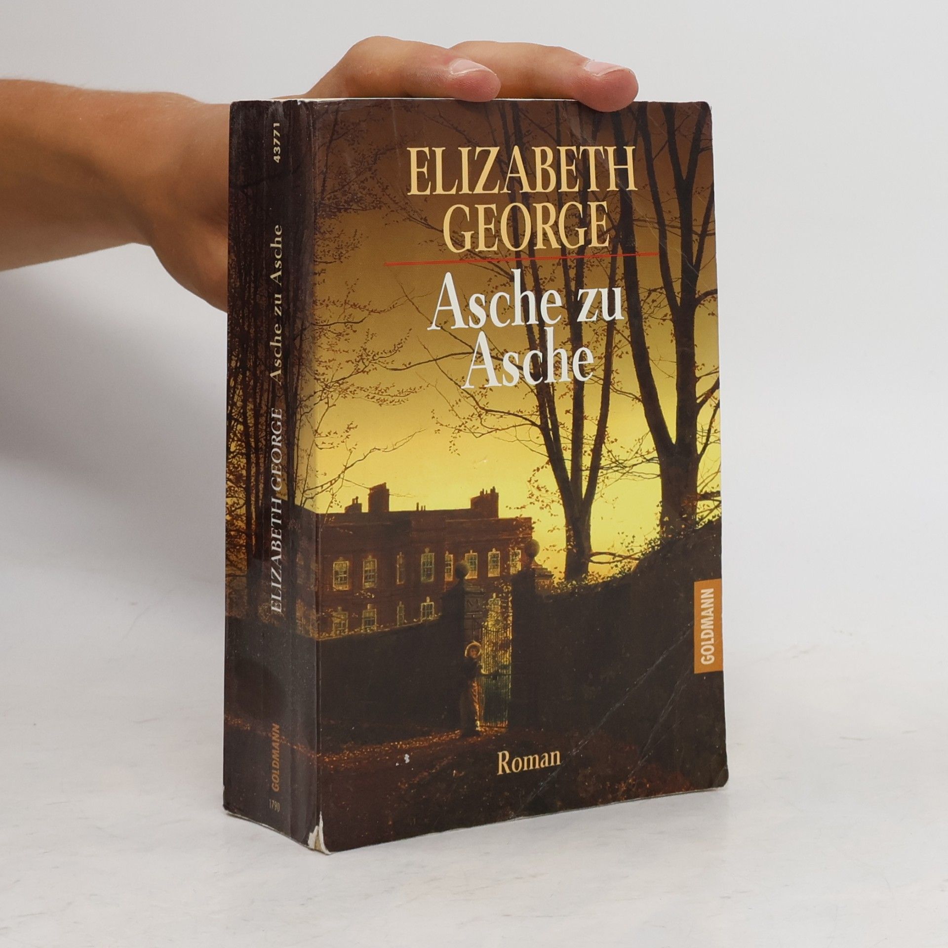 Elizabeth George Asche zu Asche