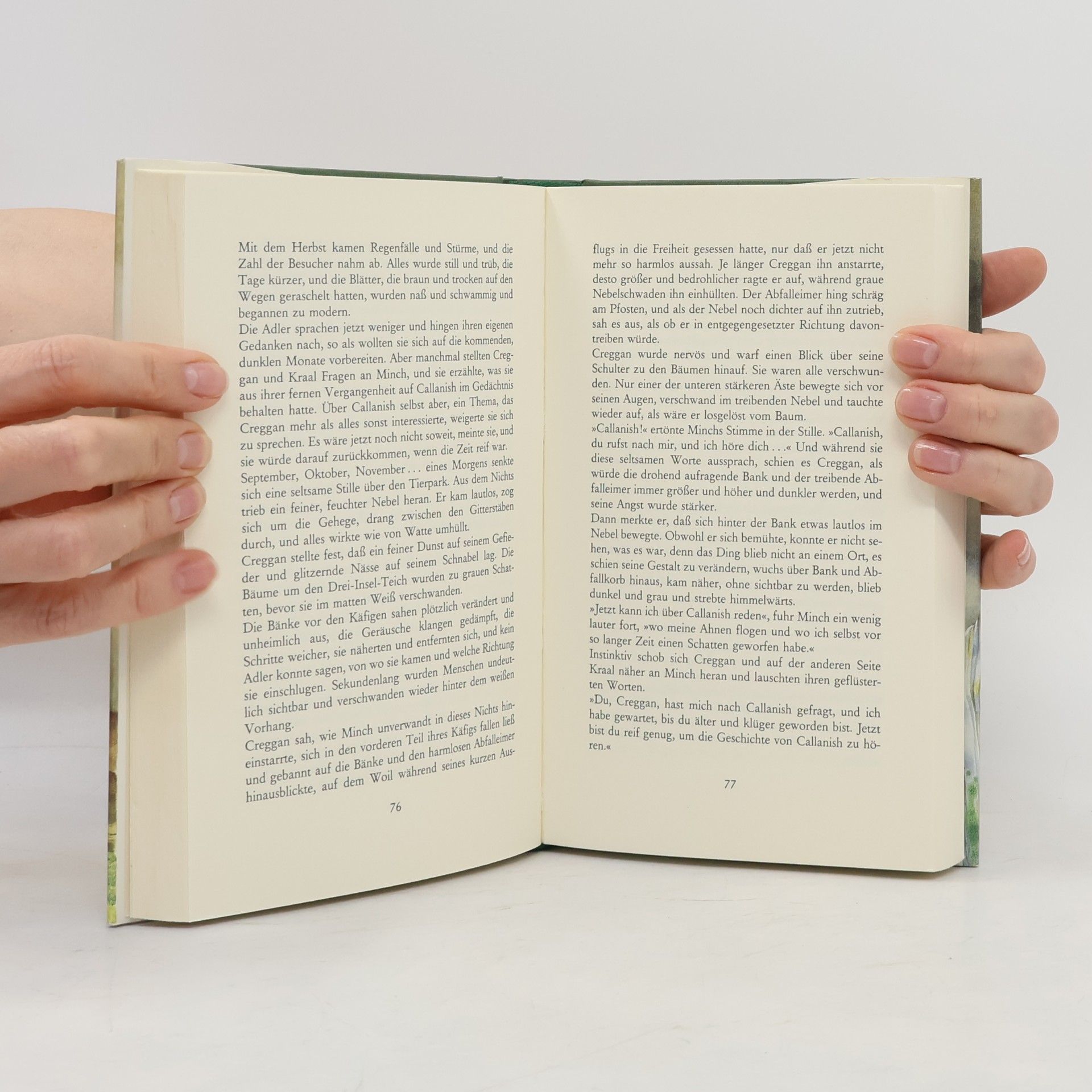 William Horwood Die Flucht des Adlers