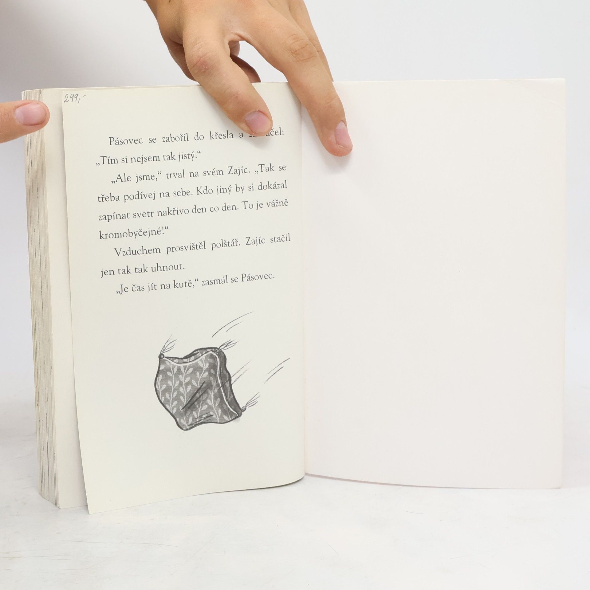 Jeremy Strong Pásovec, Zajíc a příliš hlučný medvěd